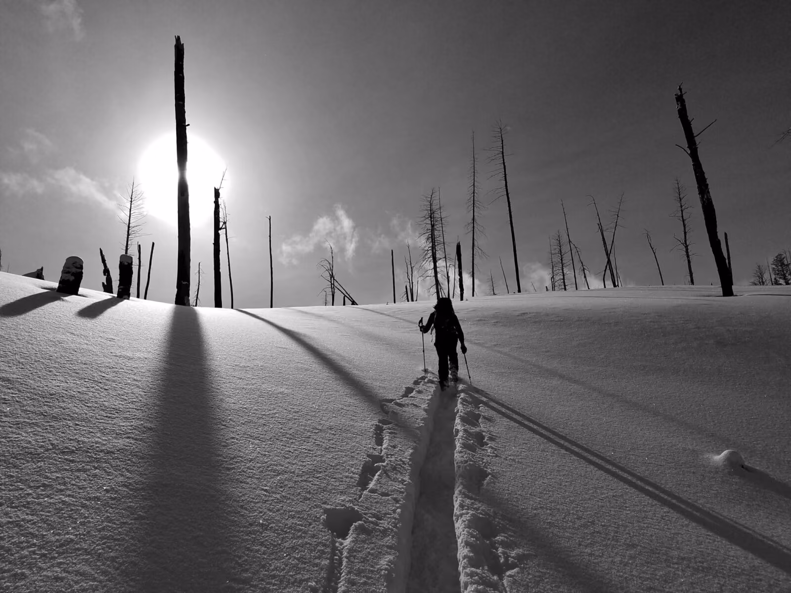 Interagency Collaboration Between Grand Teton National Park and Bridger Teton Avalanche  Center Continues for Seventh Year with Park Forecaster Travis Baldwin