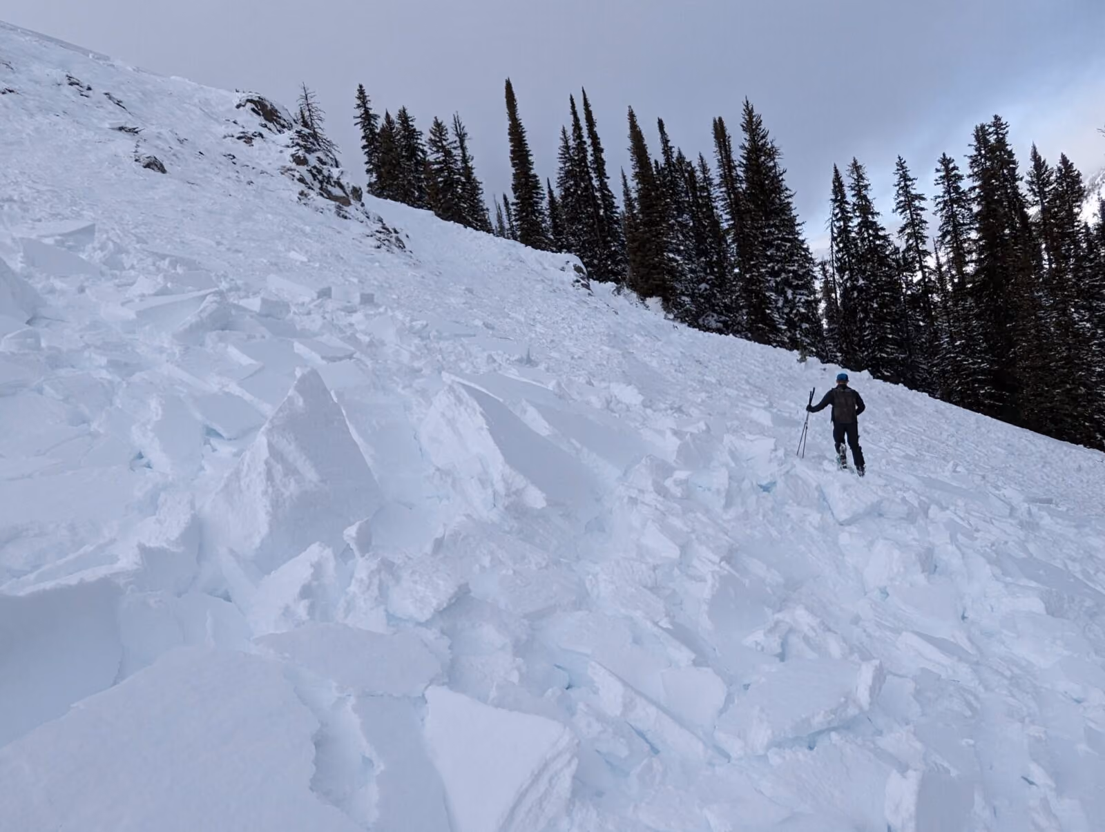 The forecasting team investigates a recent avalanche.