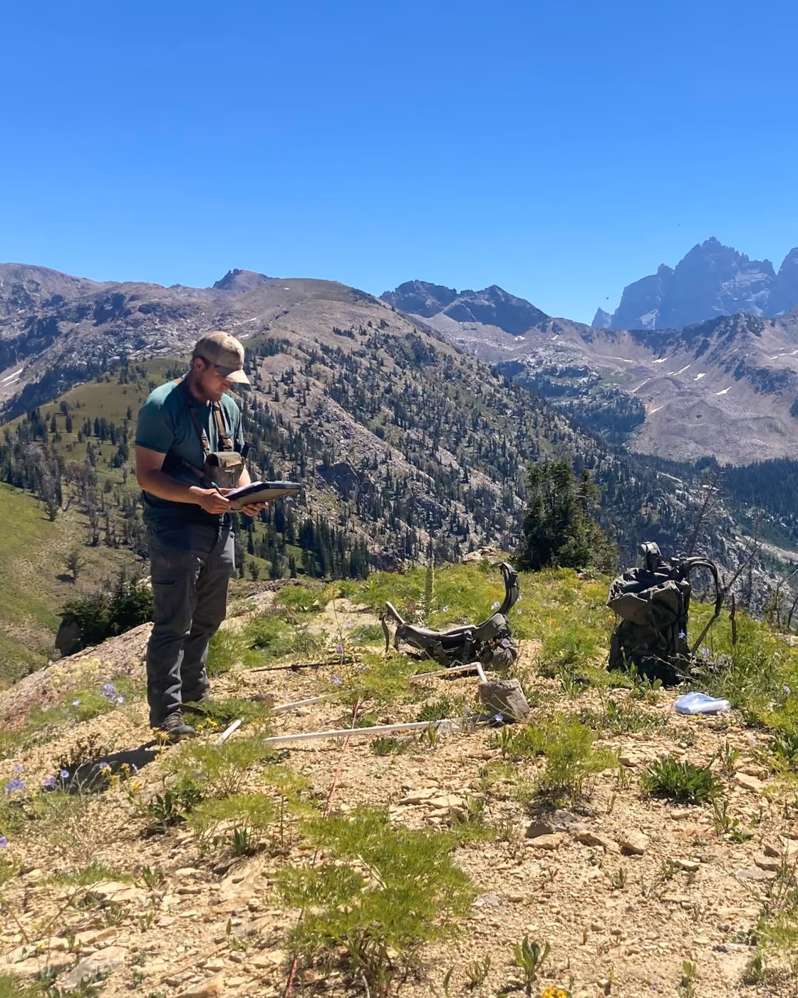 A GTNP biologist tracks bighorn sheep movements throughout the Teton Range.