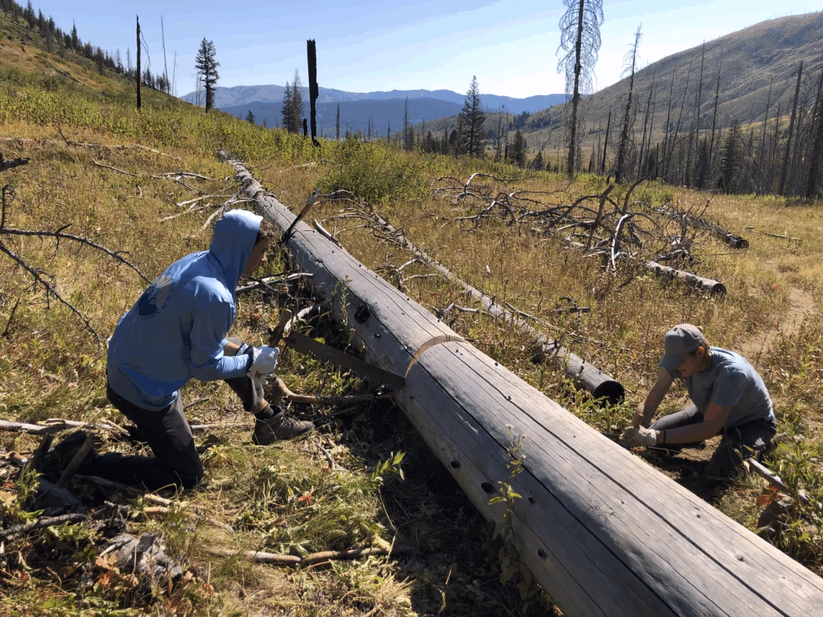 YCP crew members work together to remove a log from the trail in Grand Teton's remote backcountry.
