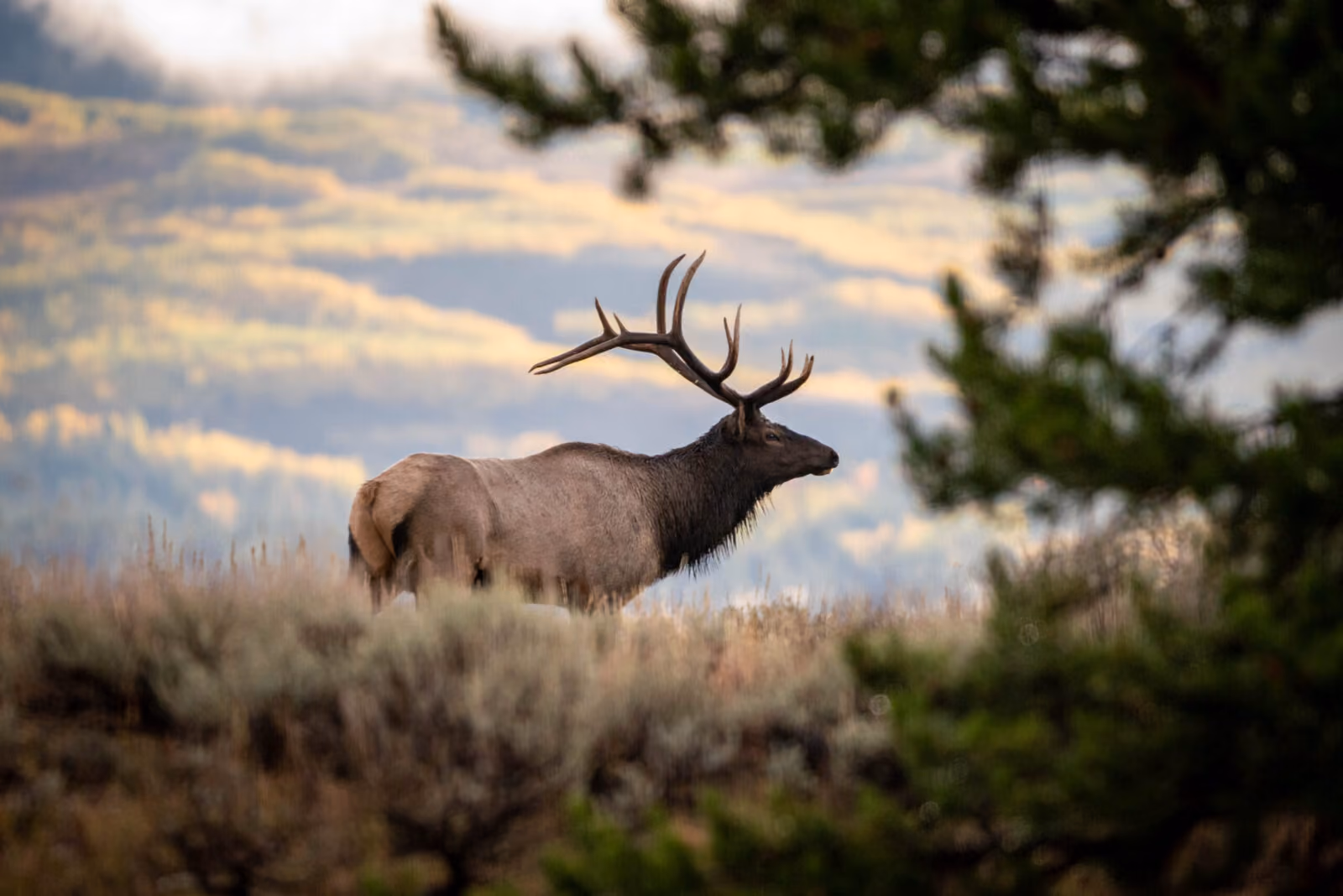 Adventure Journal: The Sounds Of Fall