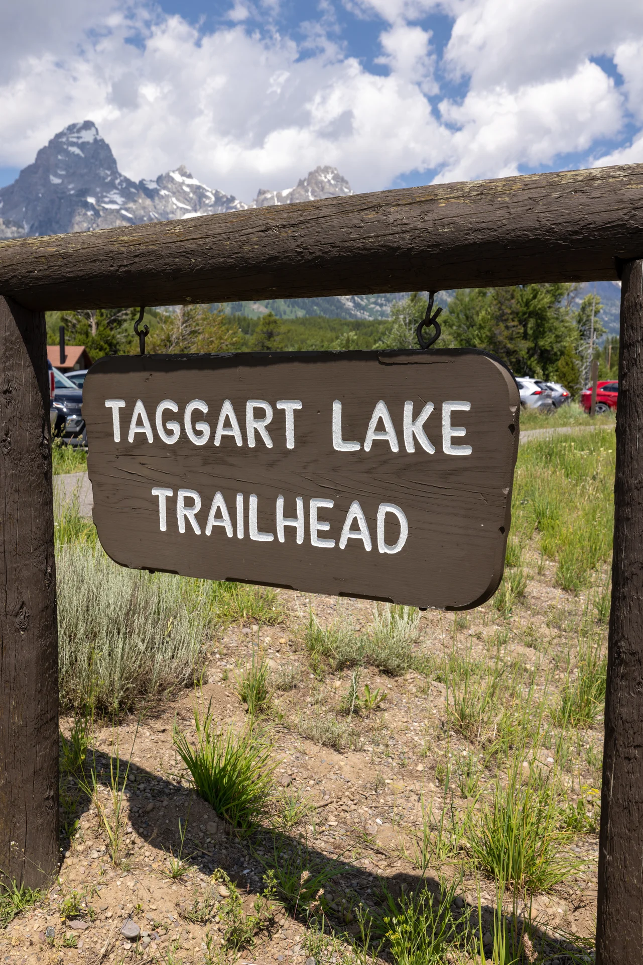 Taggart 6