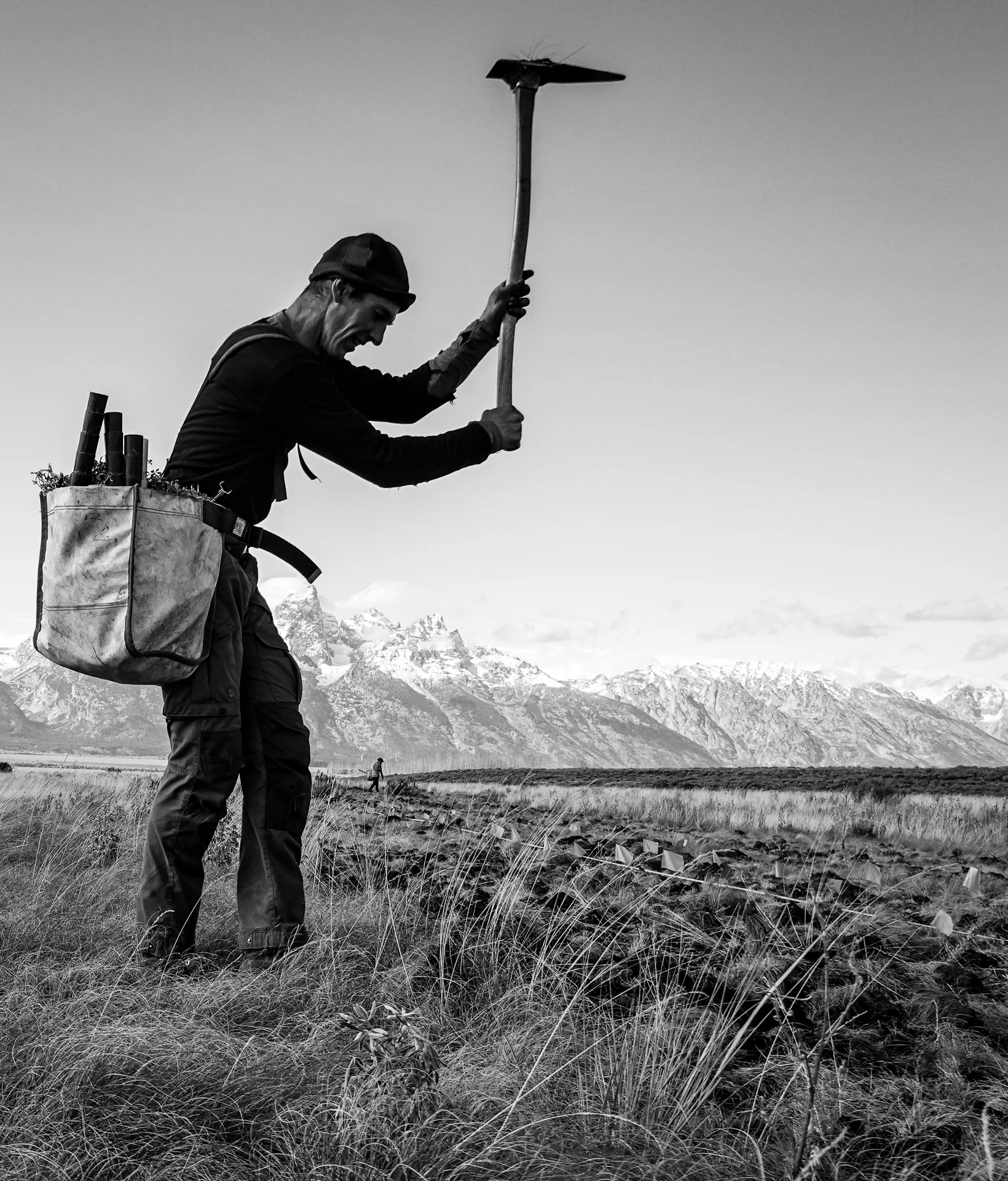 Climate Resiliency