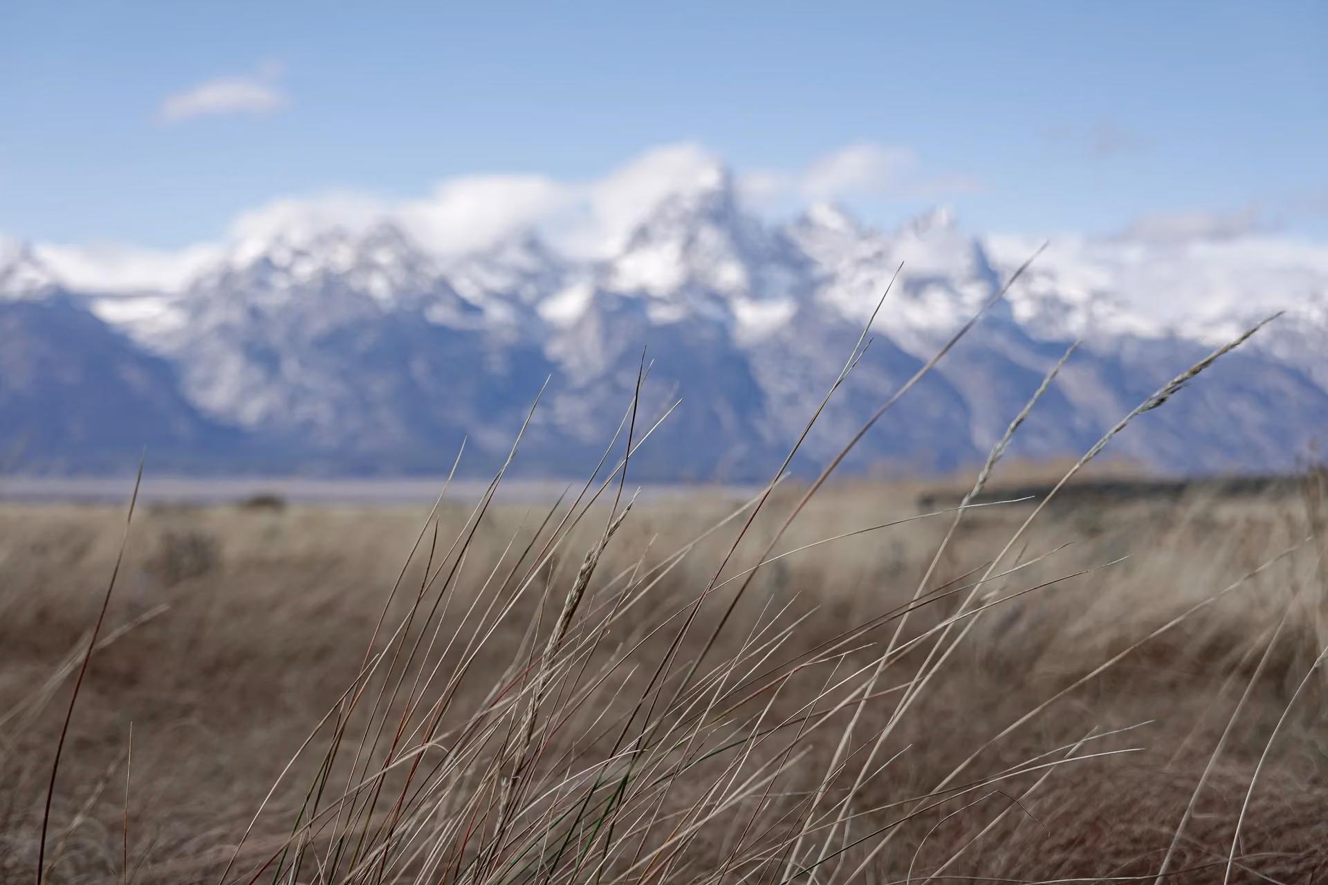 Climate Resiliency