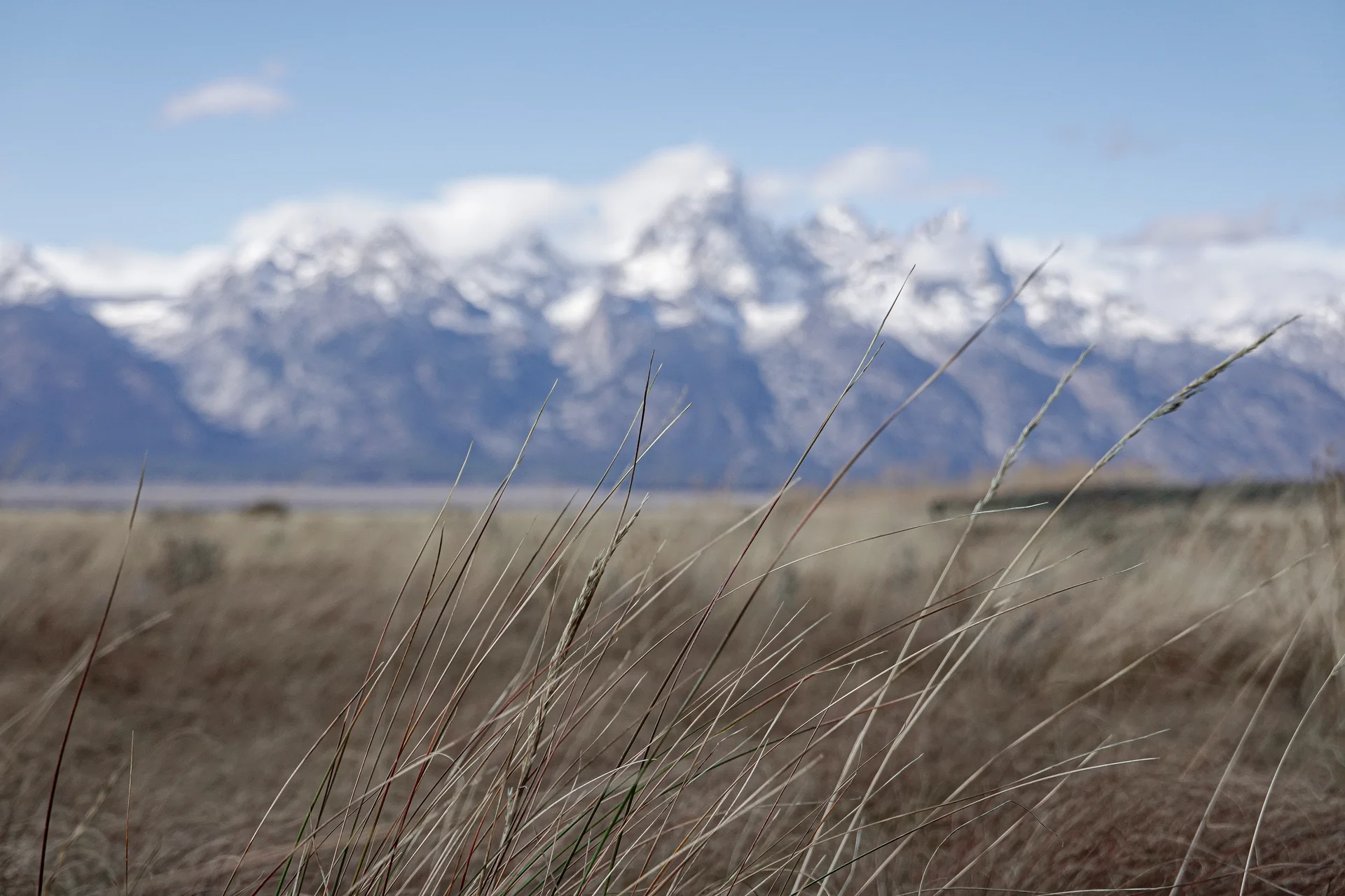 Climate Resiliency