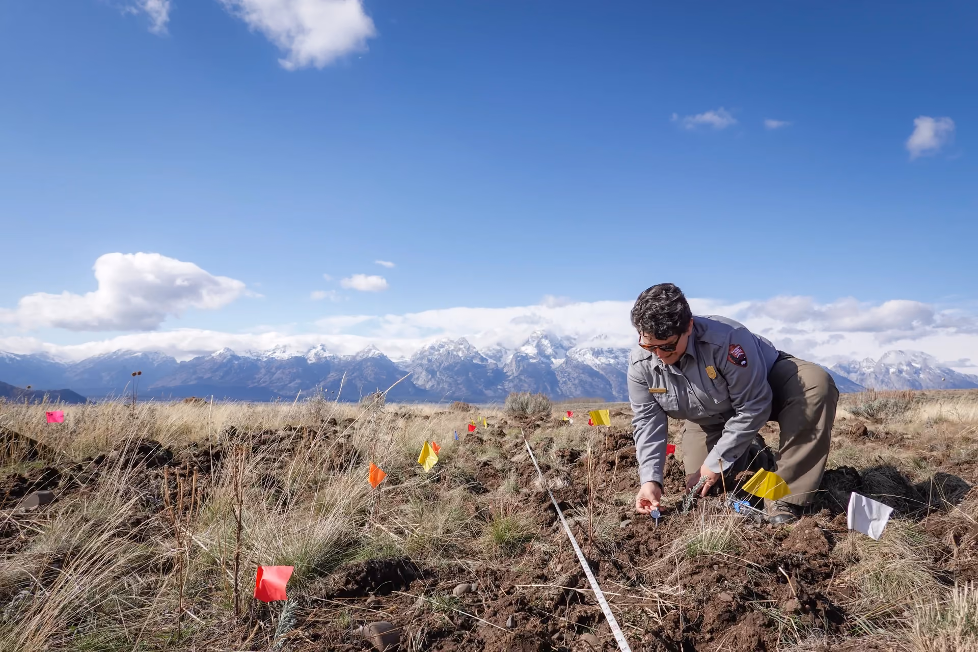 Climate Resiliency