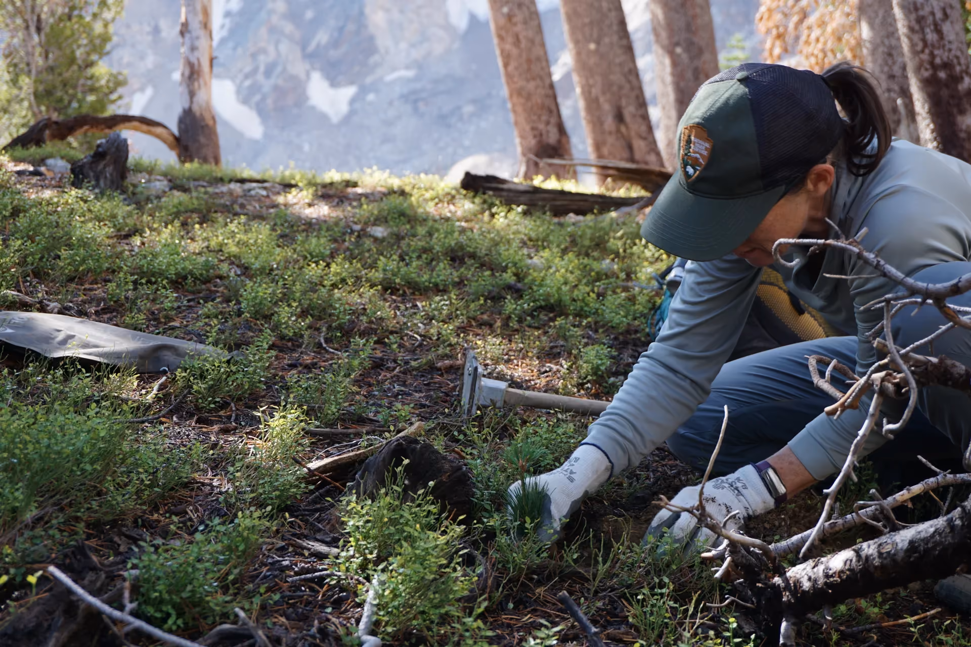 Climate Resiliency