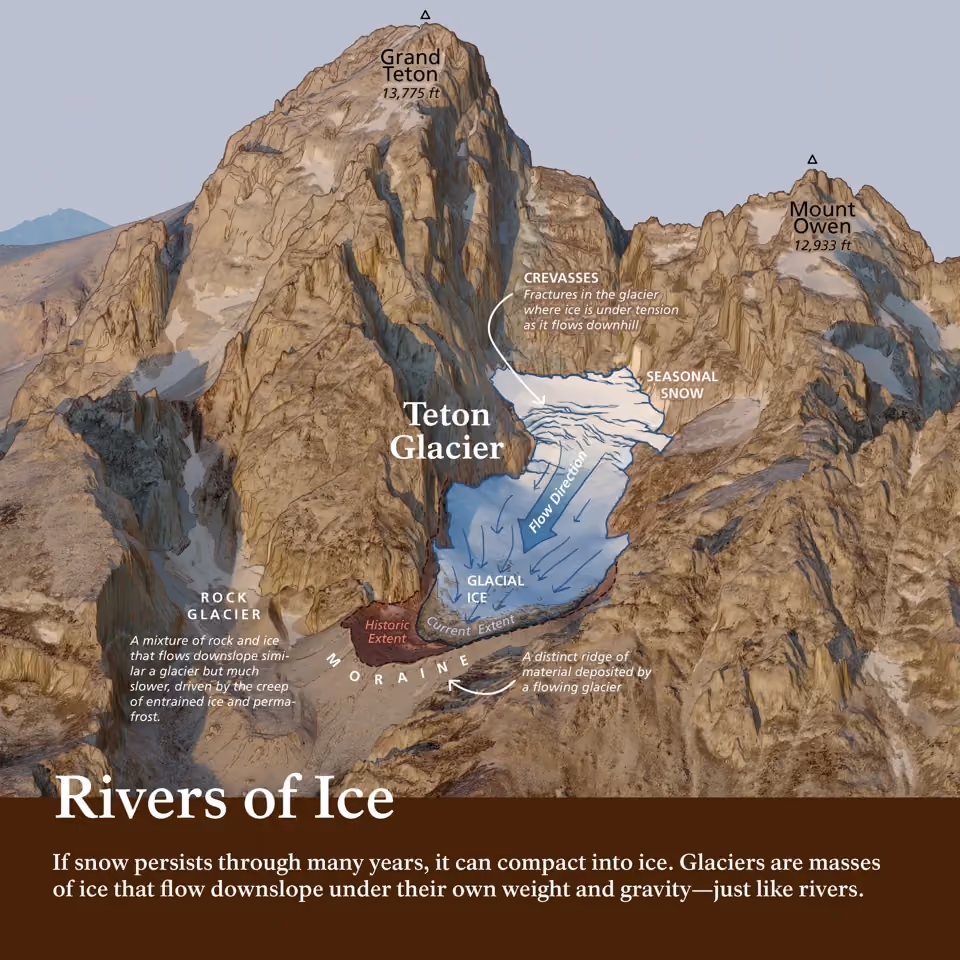 Climate Resiliency