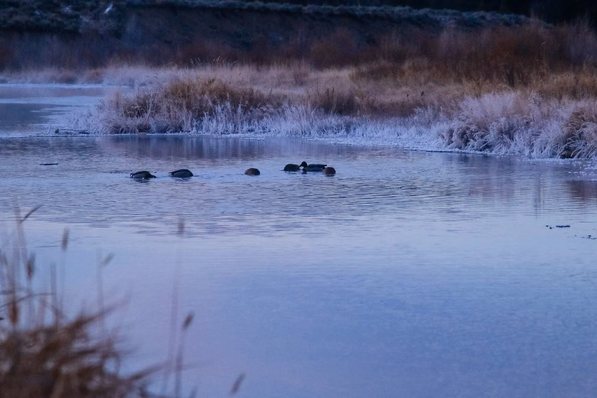 Snake River Health