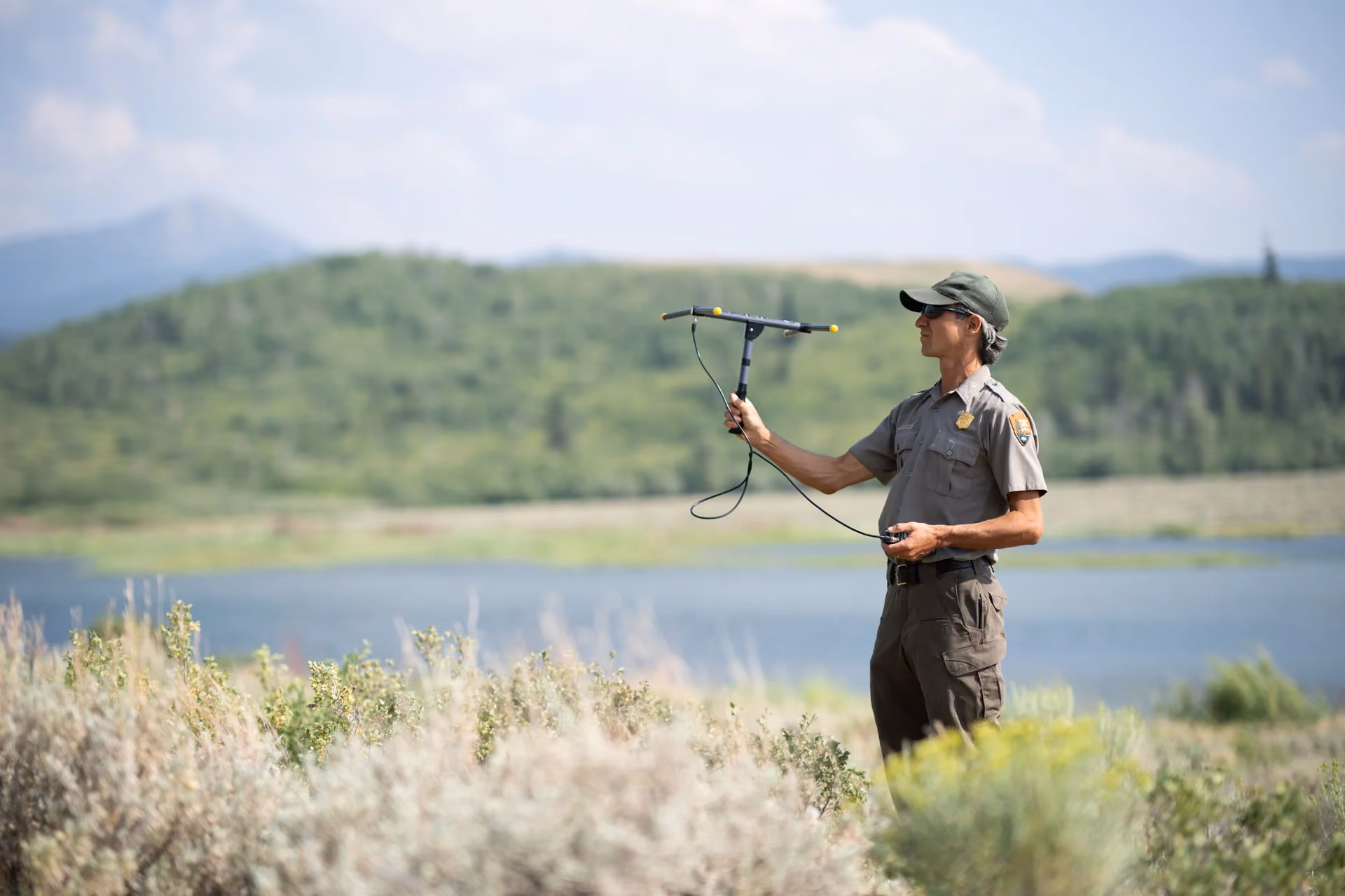 Wildlife Research & Conservation