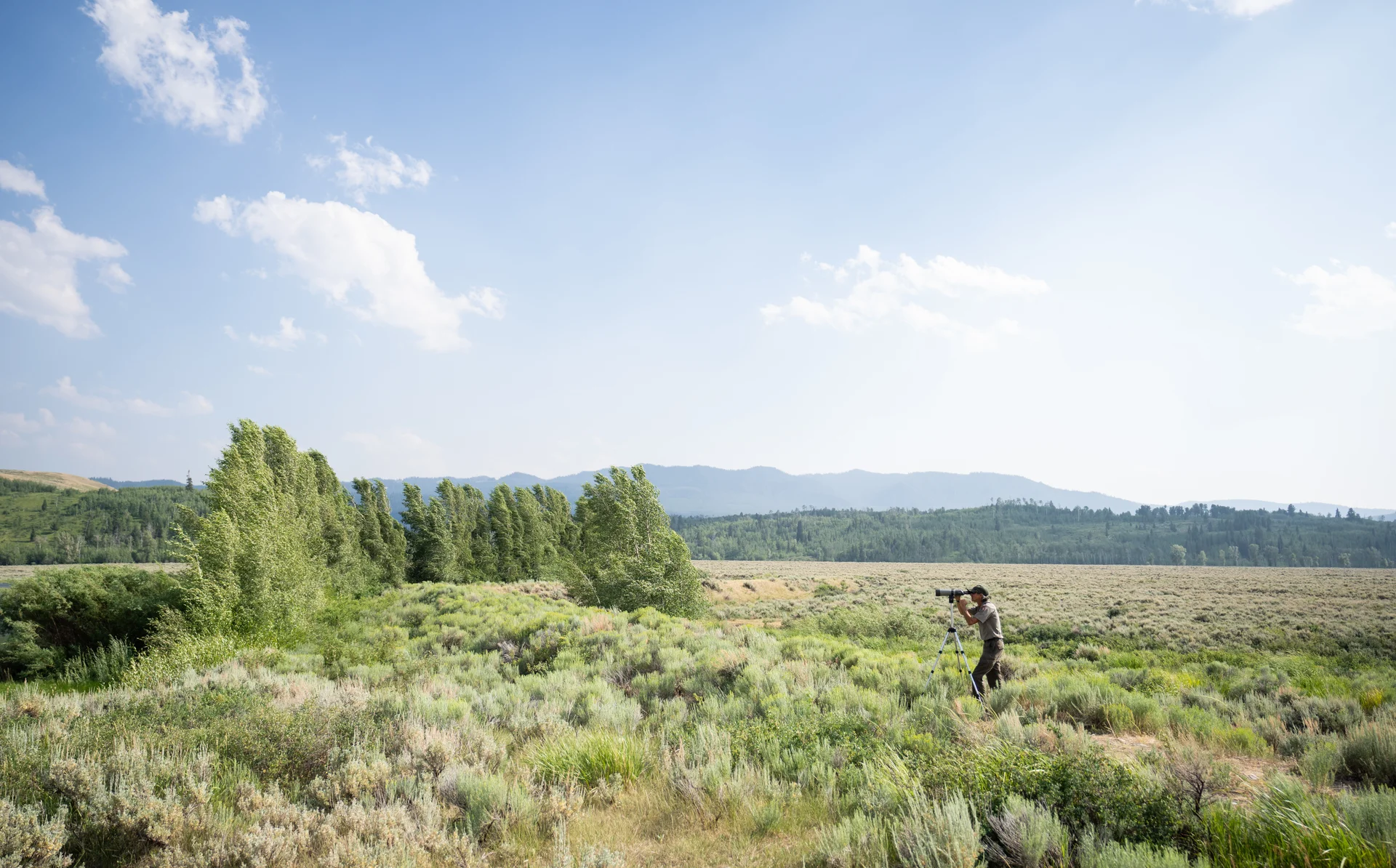 Wildlife Research & Conservation