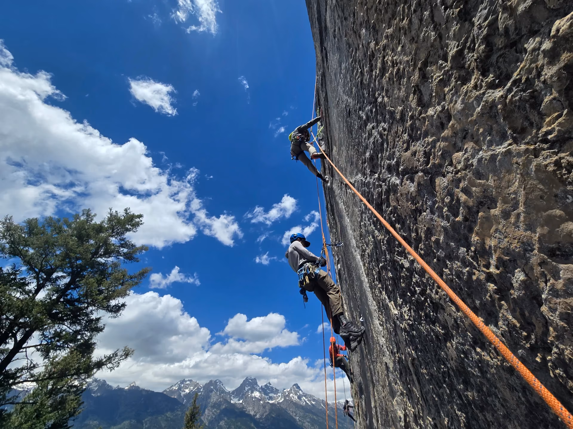 Jenny Lake Rangers