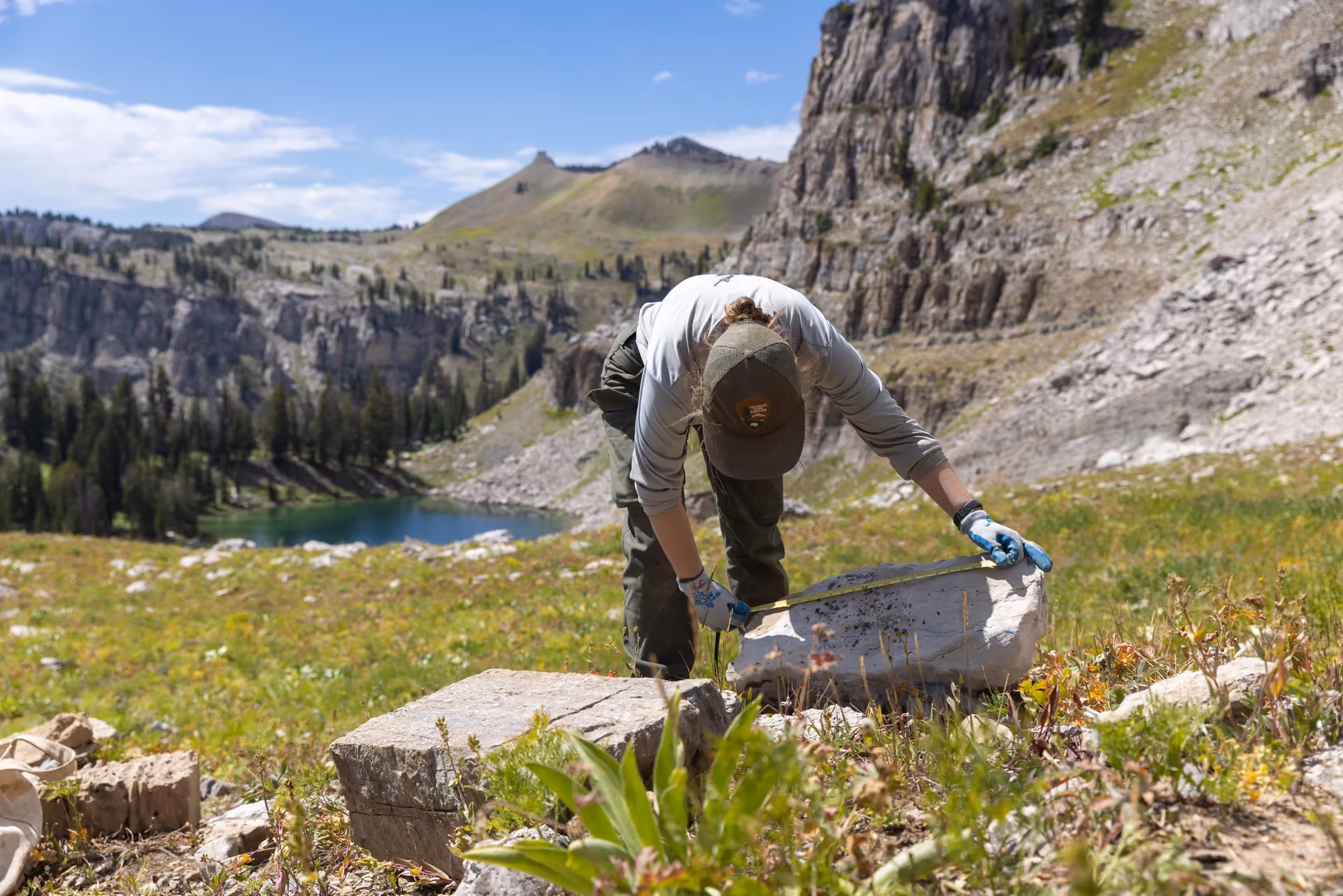 Backcountry Trail Renewal