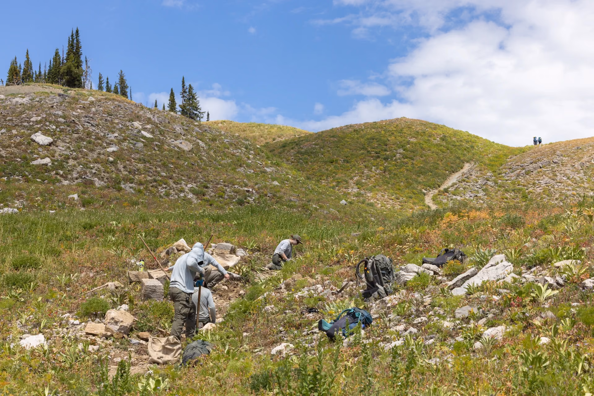 Backcountry Trail Renewal