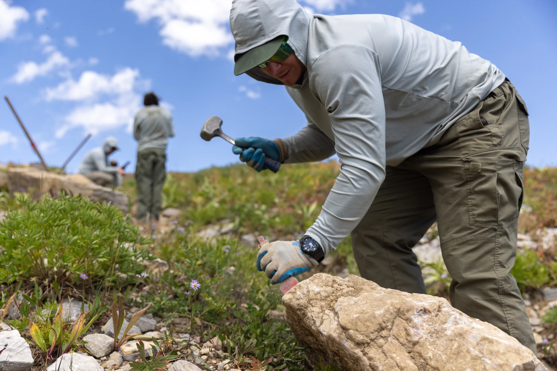 Backcountry Trail Renewal
