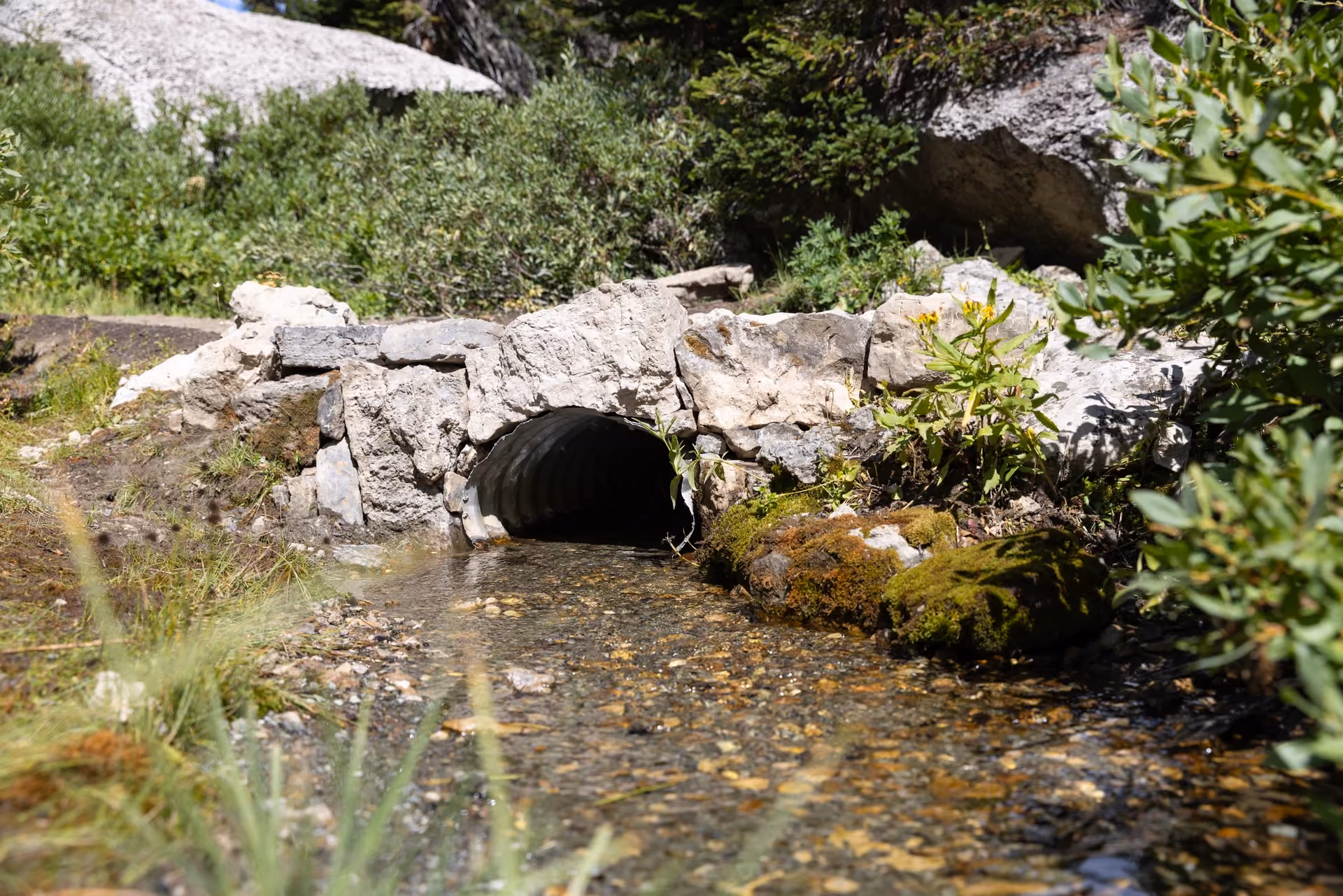 Backcountry Trail Renewal