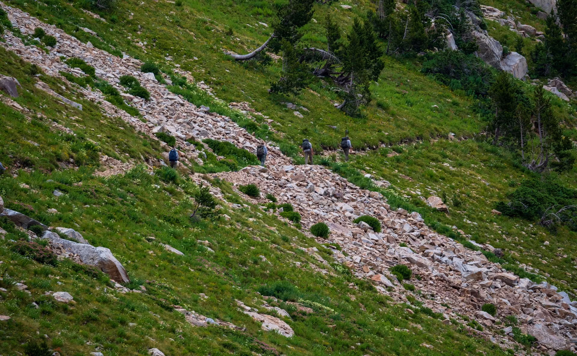 Backcountry Trail Renewal