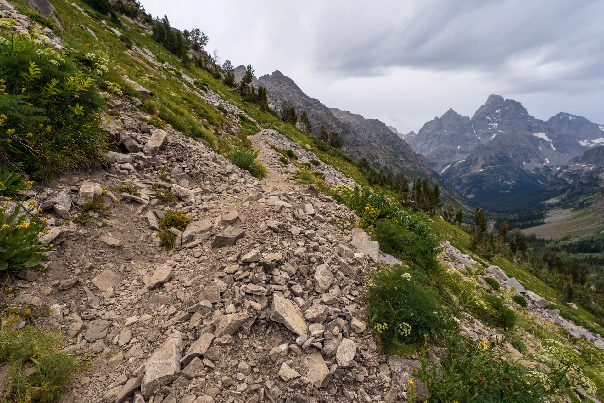 Backcountry Trail Renewal