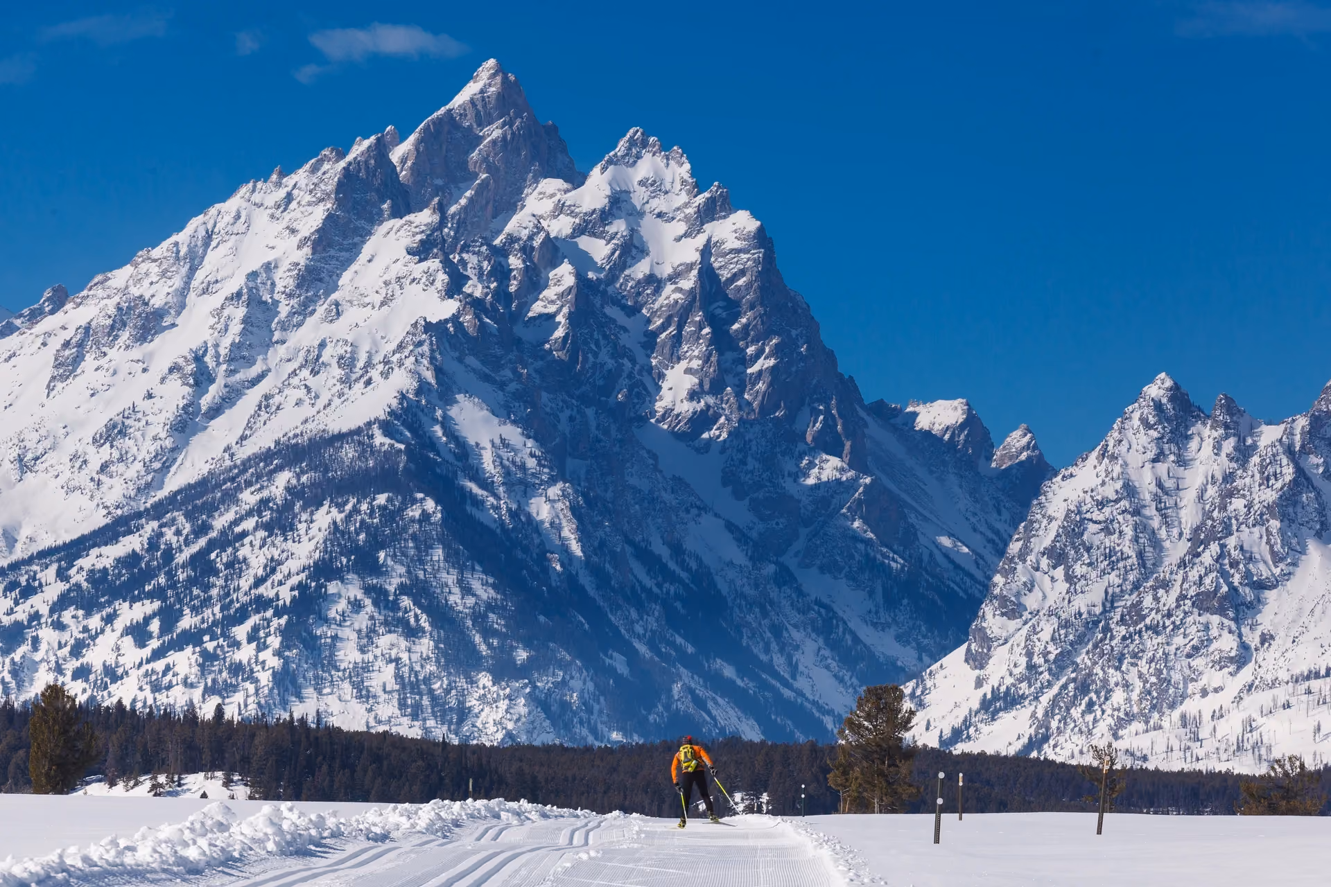 Winter Grooming