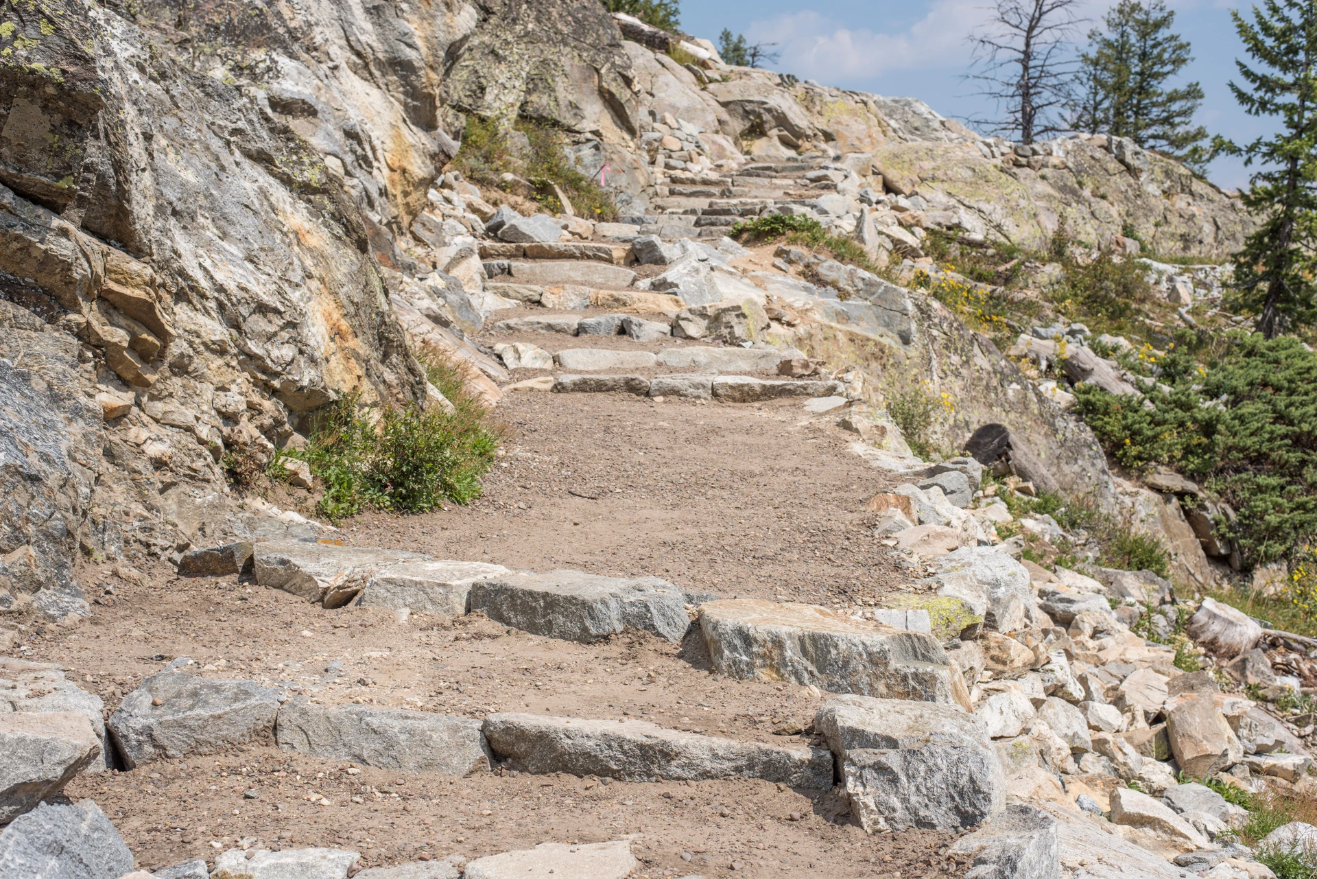 Jenny Lake Renewal Project
