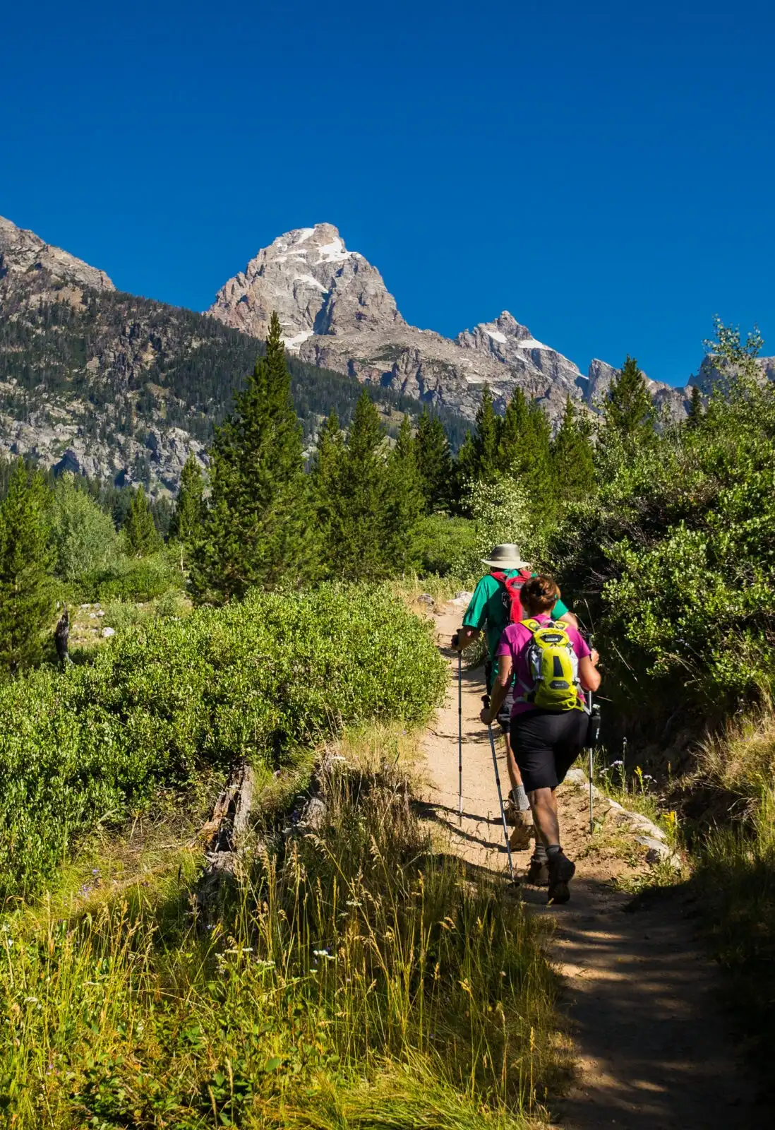 Grand Teton Seeks Input on Taggart Lake Area