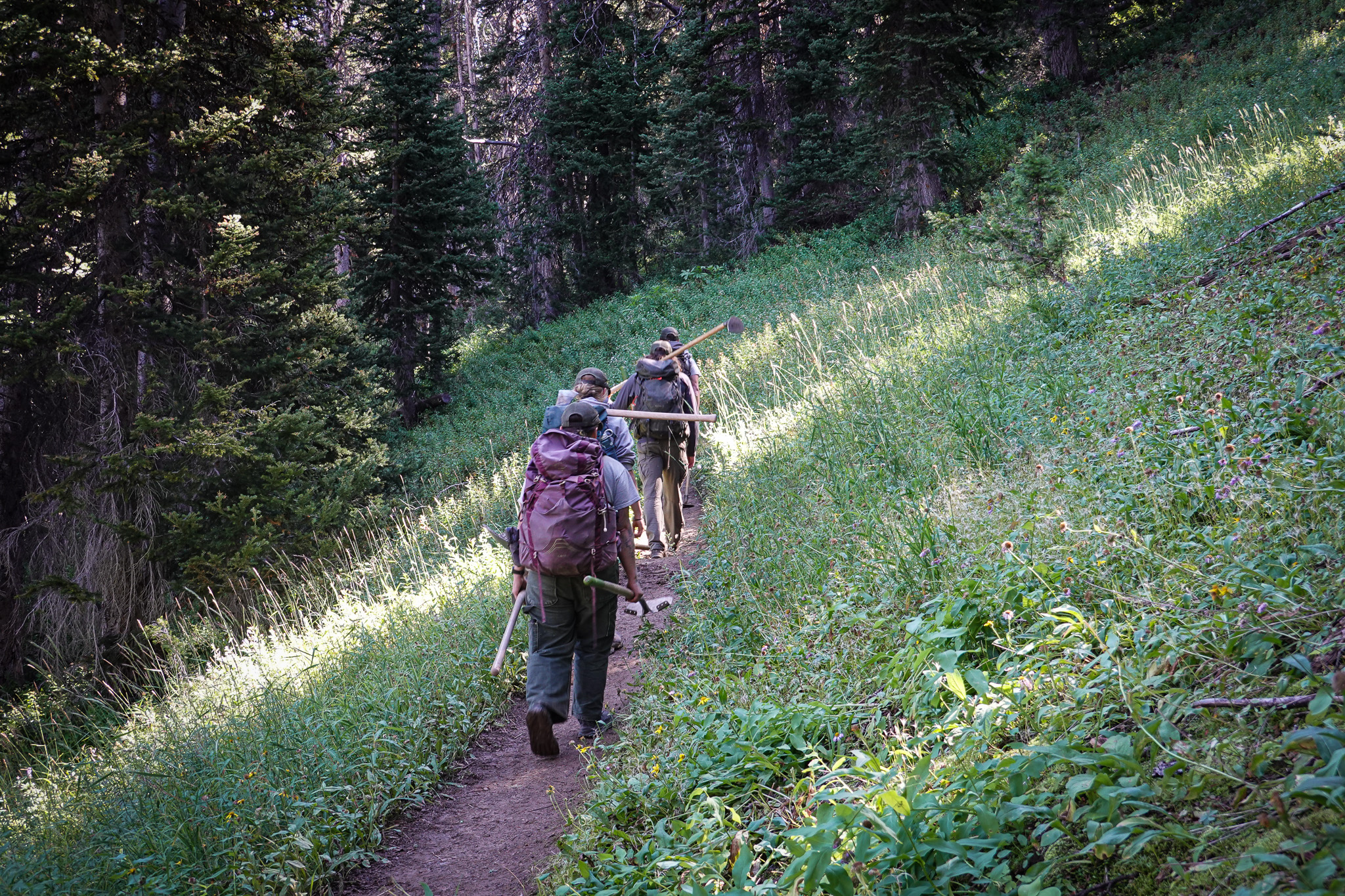 Work Continues on the Teton Crest Trail