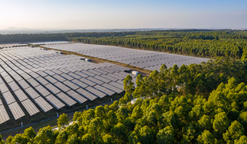 Seal Alternatives Fonden: En dansk fond med global spredning