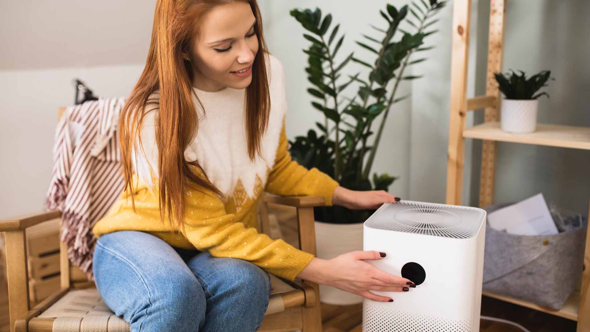 Should you buy the Levoit Core 400s air purifier this Prime Day ...