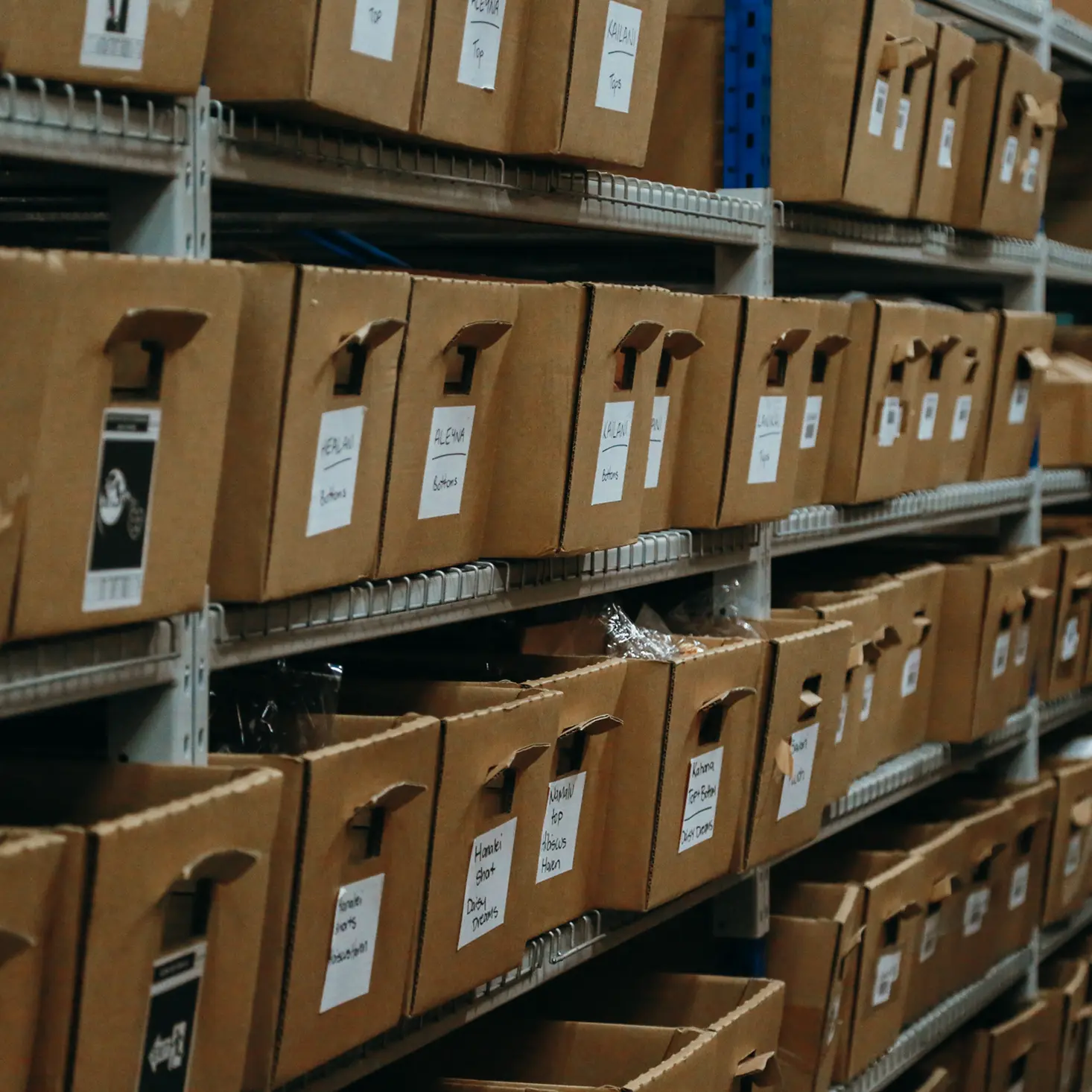 Shelves with rows of labeled brown cardboard storage boxes in a warehouse.