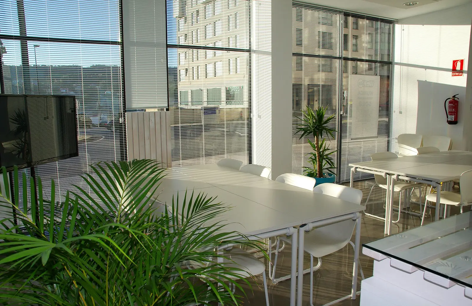 Bright meeting room with white tables and chairs, large windows with blinds, and potted plants.