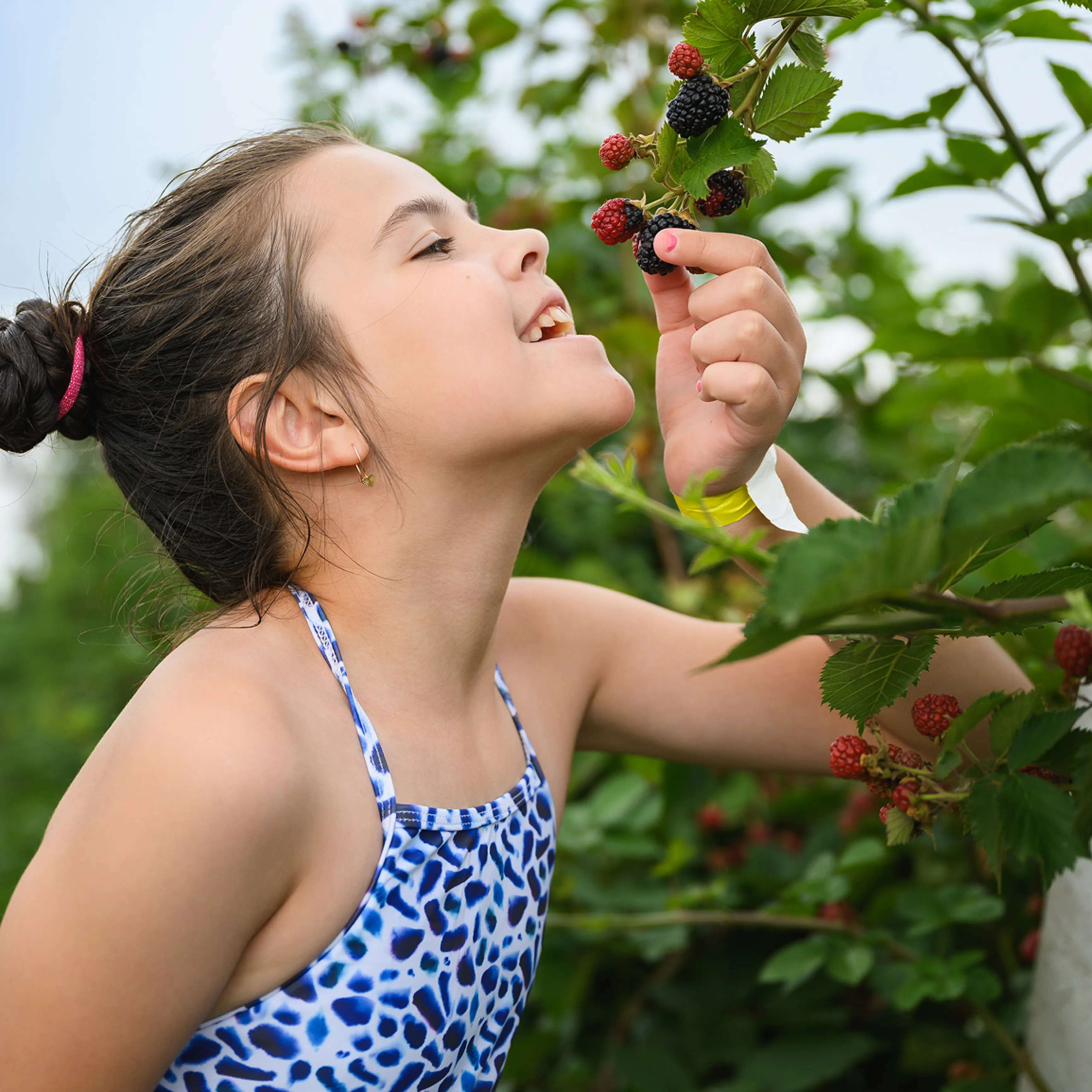 Обкладинка кейсу агенції the Kasta