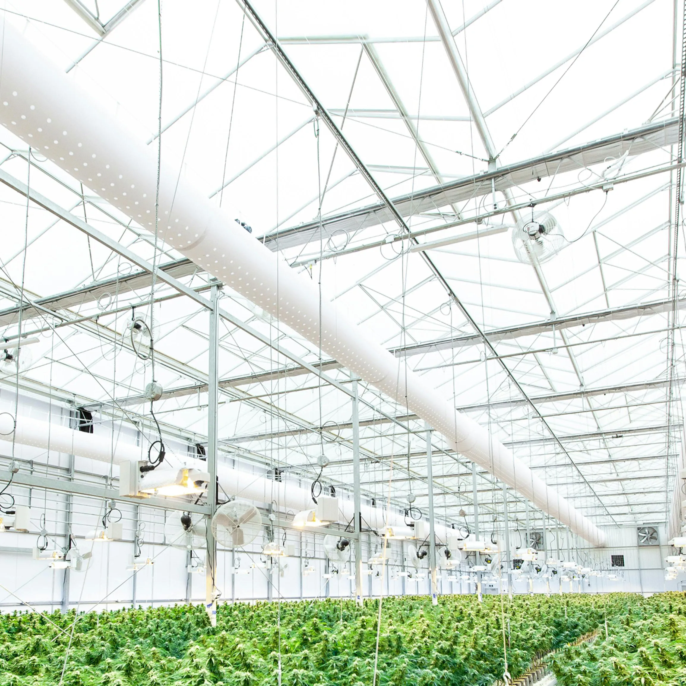 Обкладинка кейсу агенції the Kasta