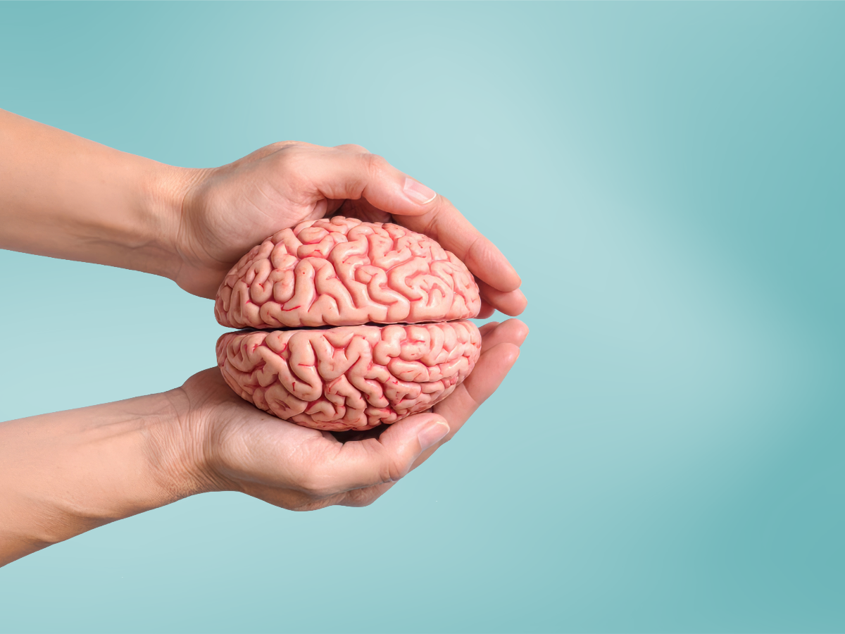 une main tient un cerveau