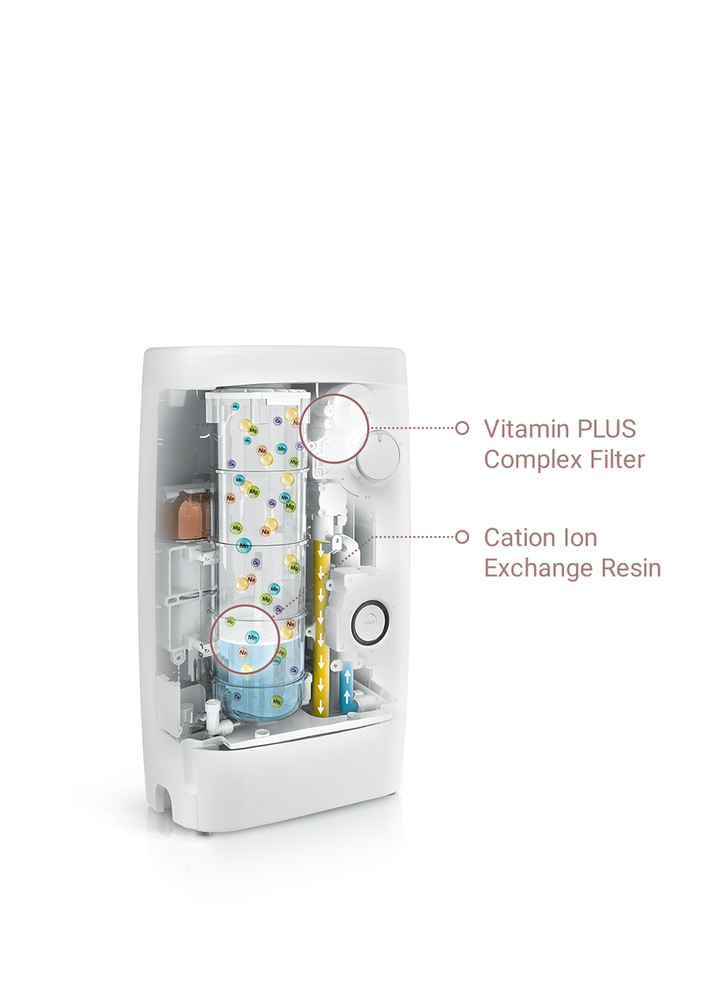 Diagram of Coway BB-14bus water softener's internal structure highlighting the Vitamin PLUS Complex Filter and Cation Ion Exchange Resin with labeled arrows and chemical symbols.