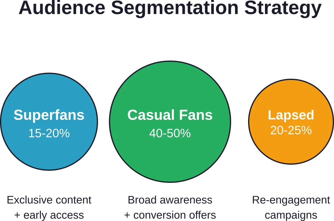 Typical audience segmentation distribution and corresponding marketing tactics for each segment