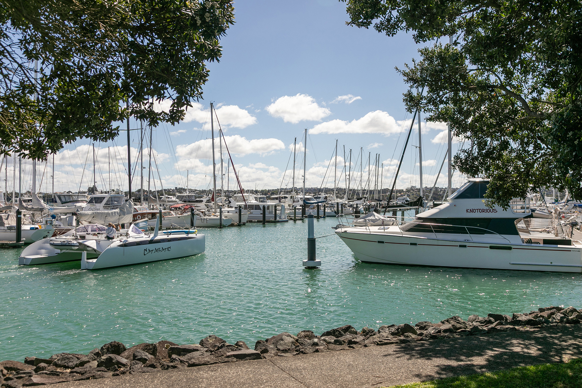 Boats berthed at Bayswater Marina on a sunny day
