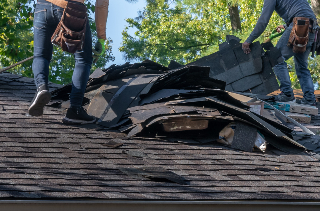 Roofers removing damaged shingles to fix leak, illustrating roof leak water damage repair services in Calgary"
