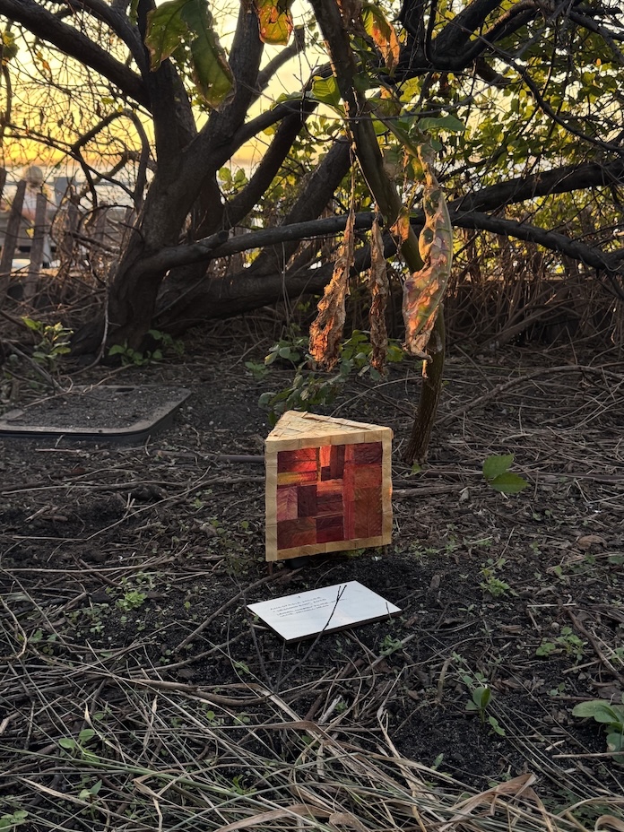 Small geometric lantern with warm red and orange hues placed on the ground among dry branches and leaves near a tree at sunset.