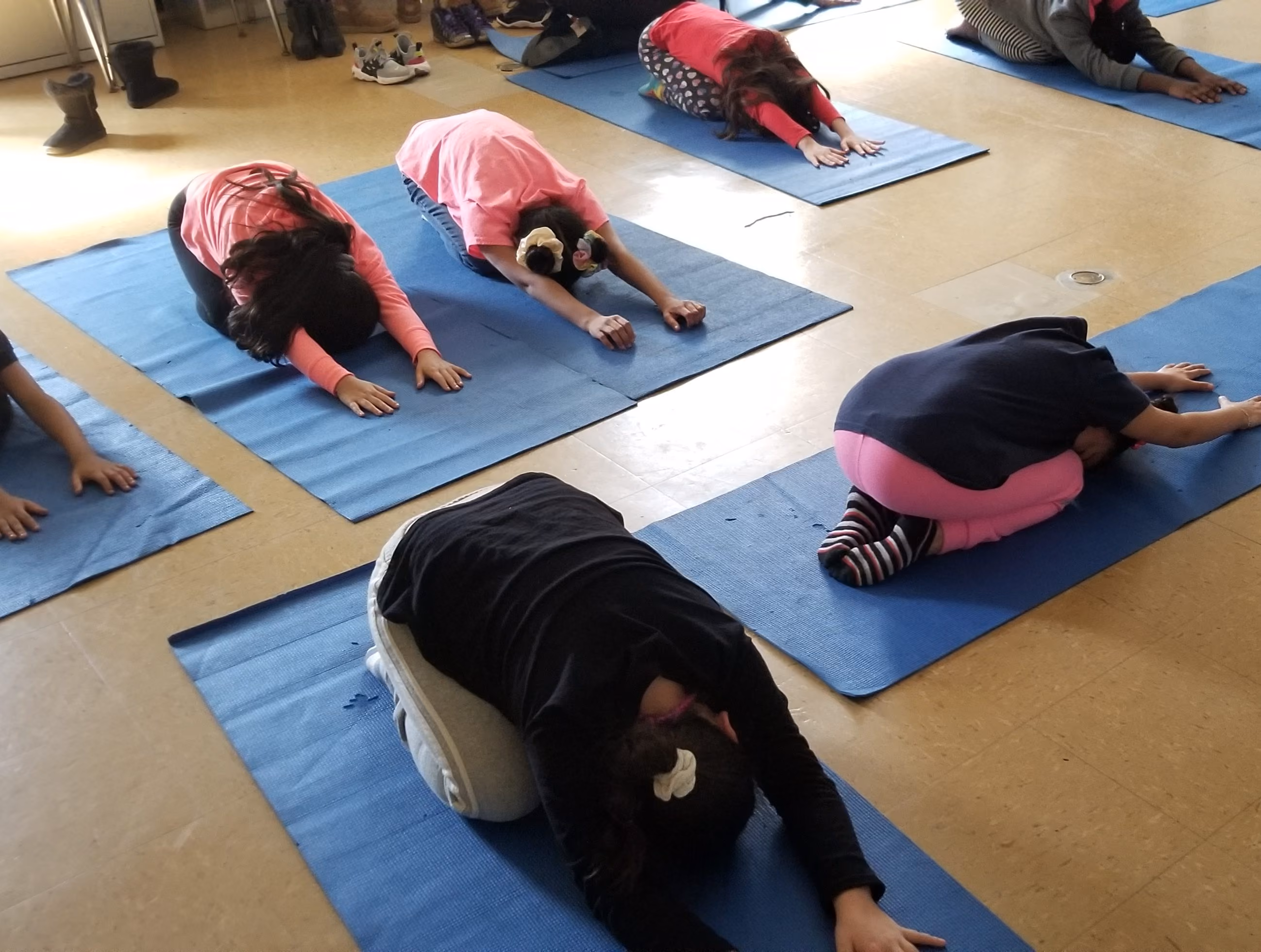 Students doing yoga poses on mats in class