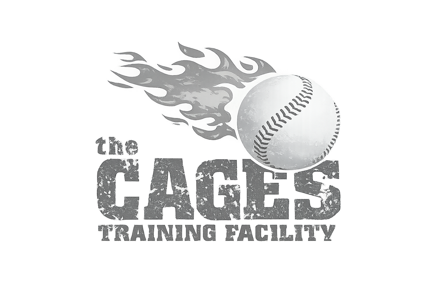 Logo with a flaming baseball and distressed text reading 'the Cages Training Facility'.