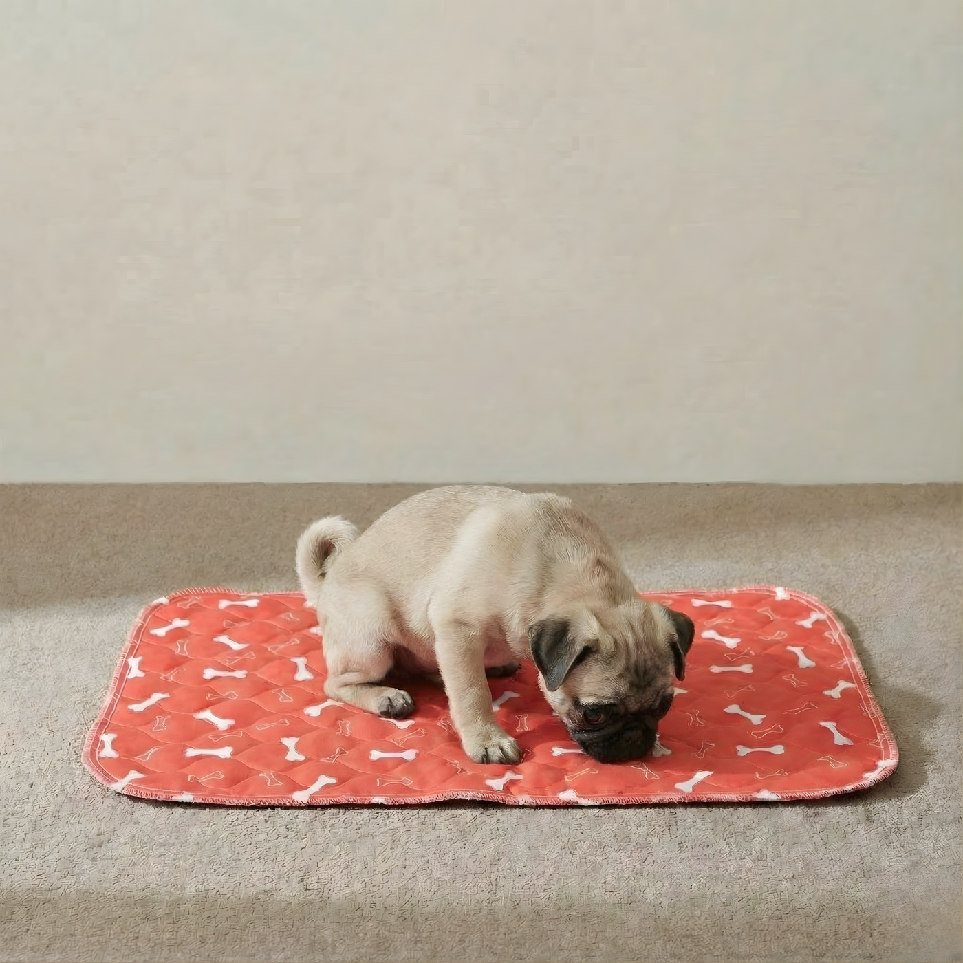 Welpe nutzt die WelpenMatte