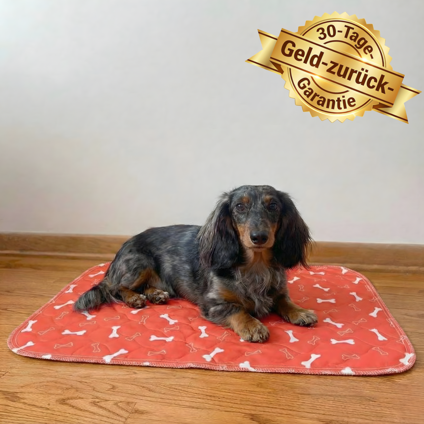 WelpenMatte 30 Tage risikofrei testen