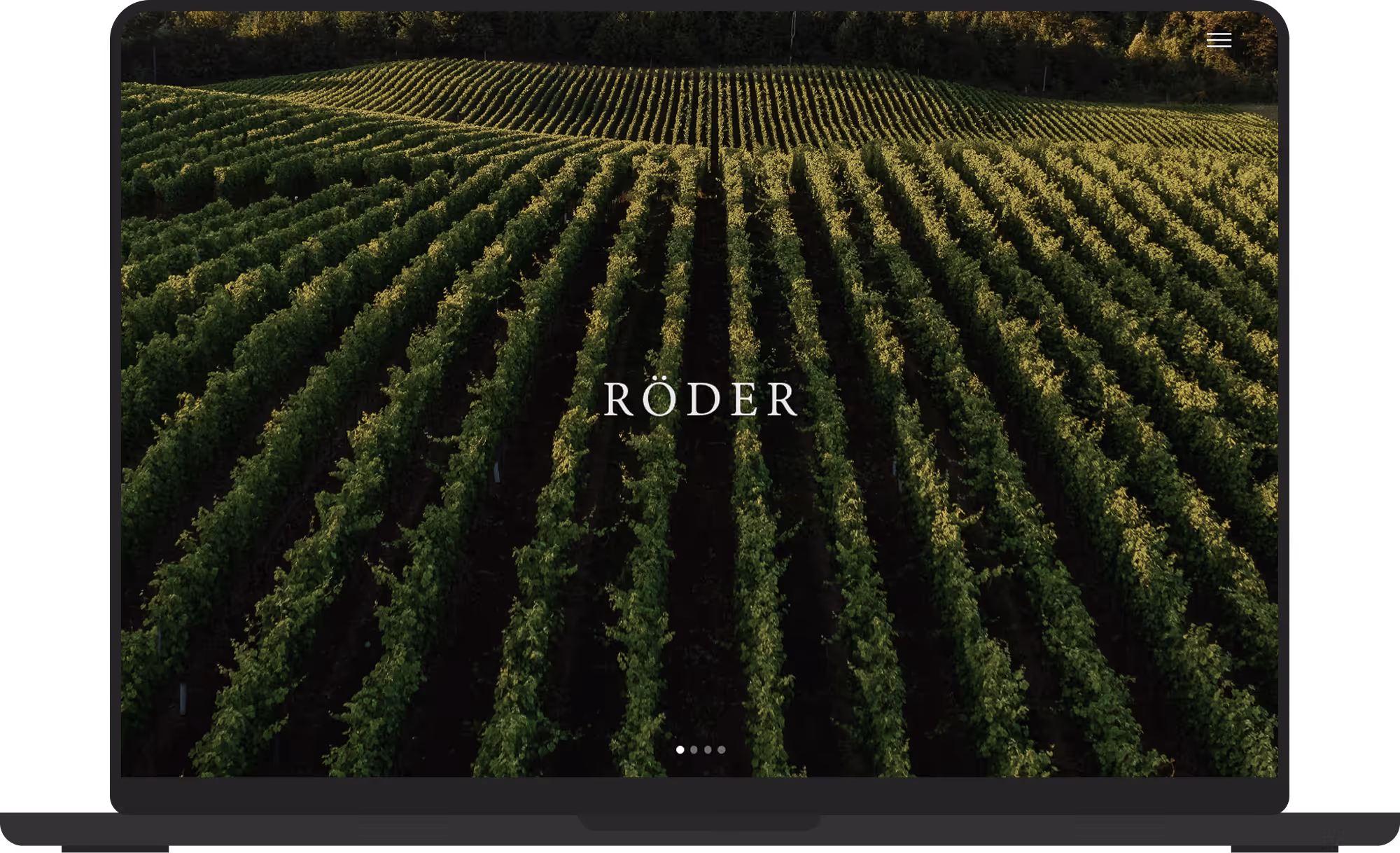 Laptop screen displaying a vineyard with green grapevines in neat rows and the text 'WIESNER Weingut'.