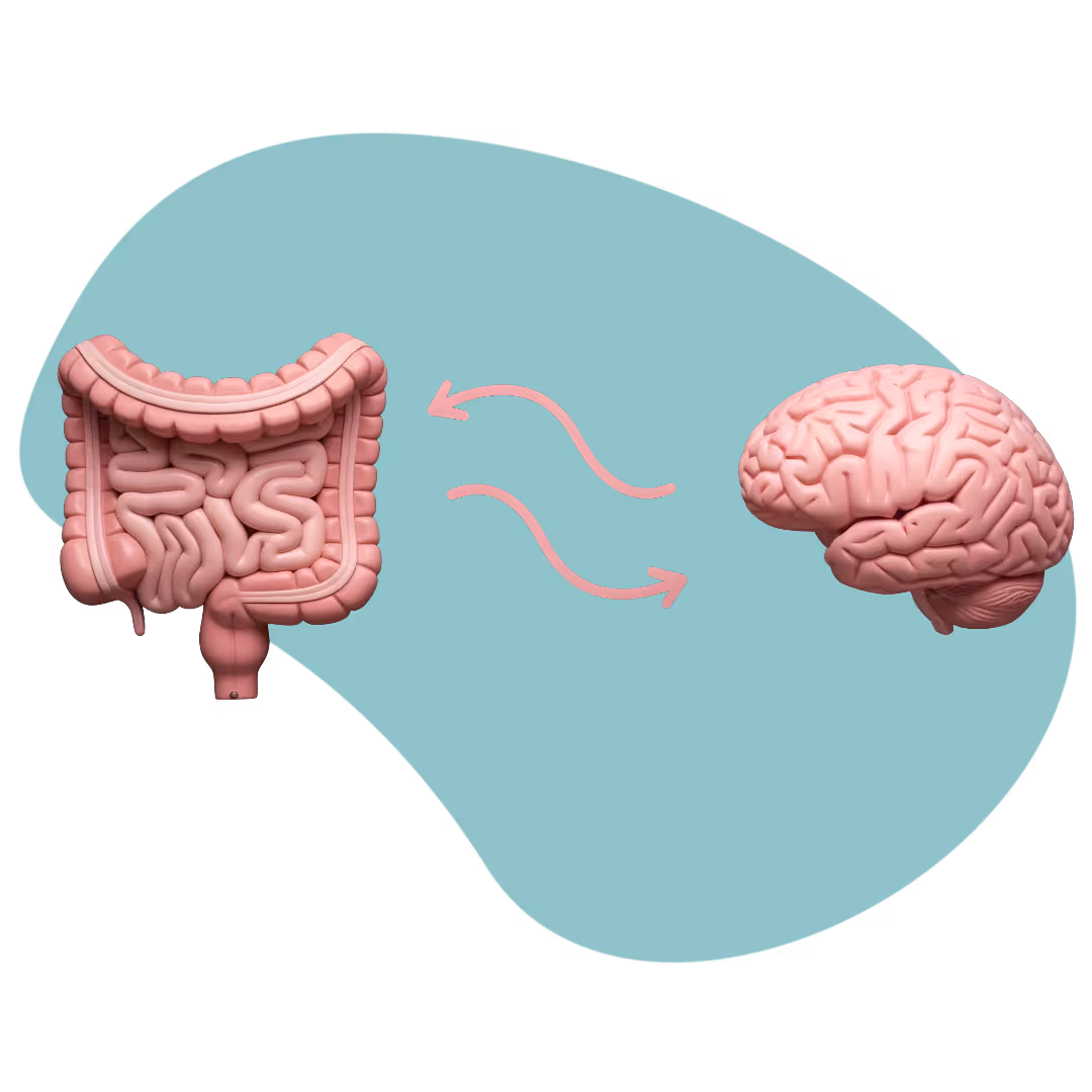 Illustration showing a human intestine connected to a brain with two arrows symbolizing communication between the gut and brain.