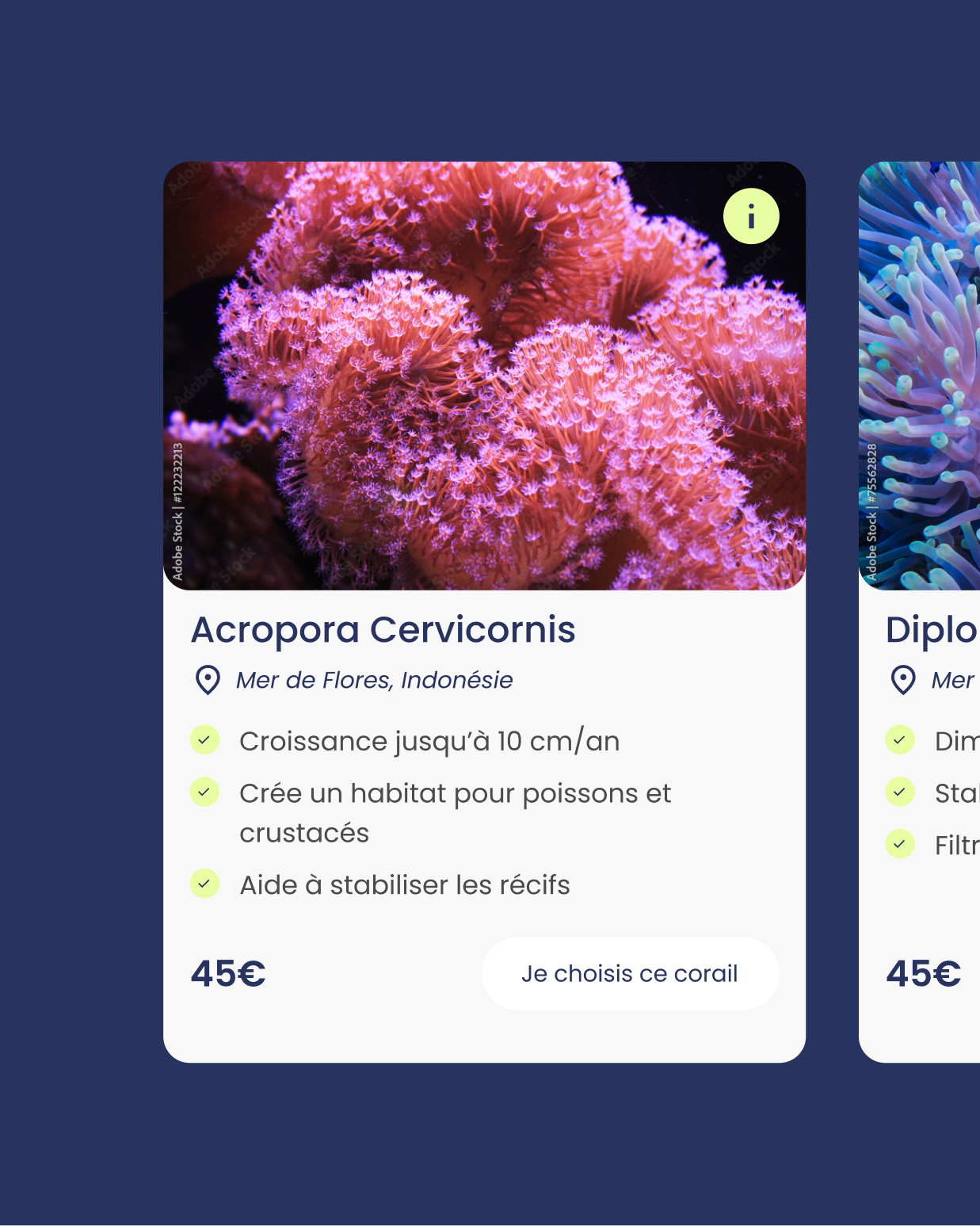 Coral Guardian coral card screen mockup