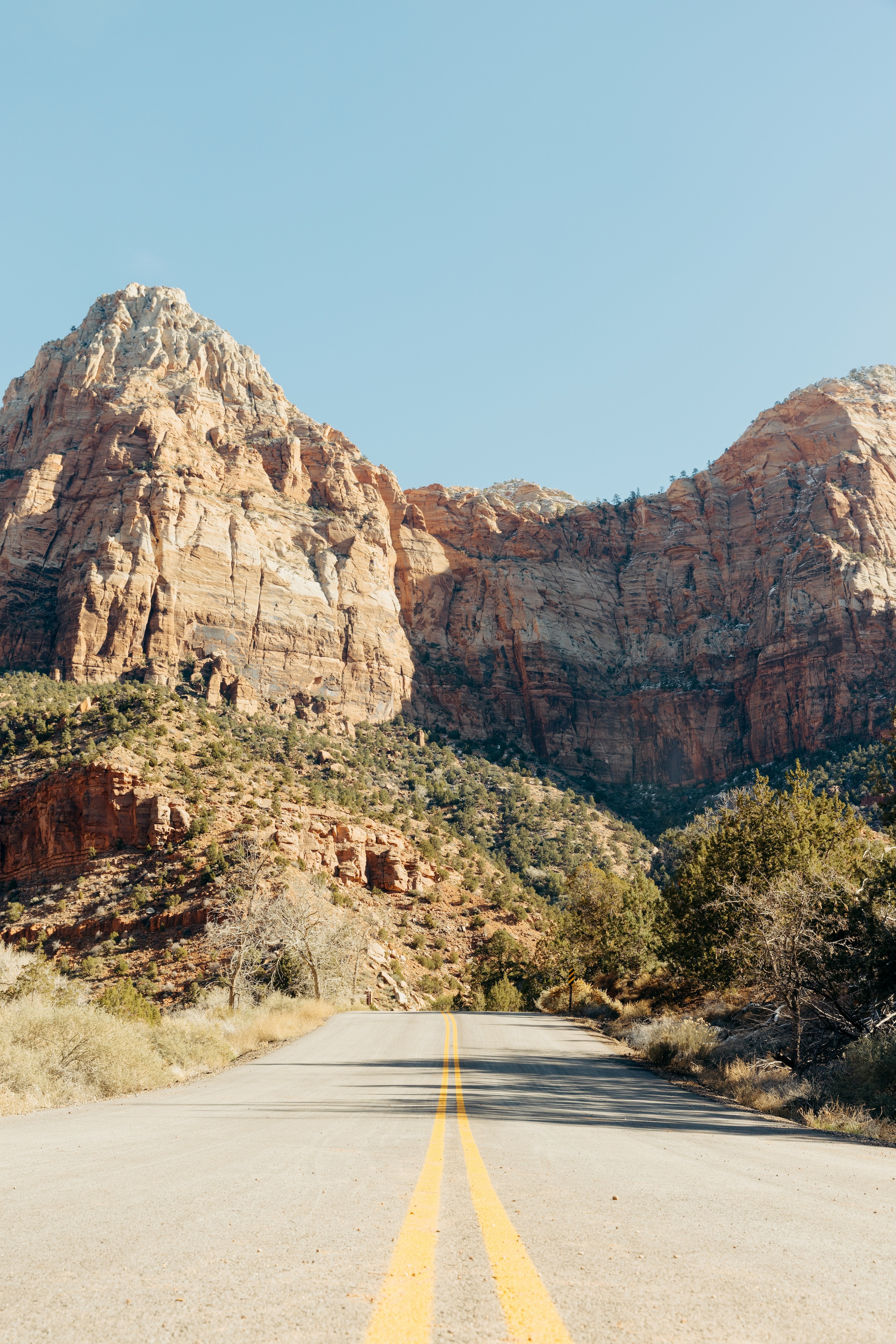 Road in Zion, Utah, USA