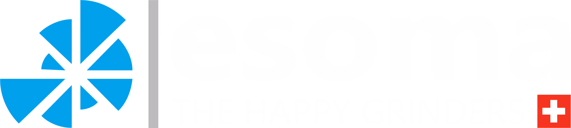 Esoma Logo mit blauem Kreisdesign, vertikaler grauer Linie und Schweizer Kreuz in Rot unten rechts.