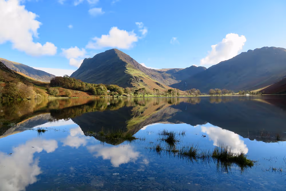 Ecological Sectors photo