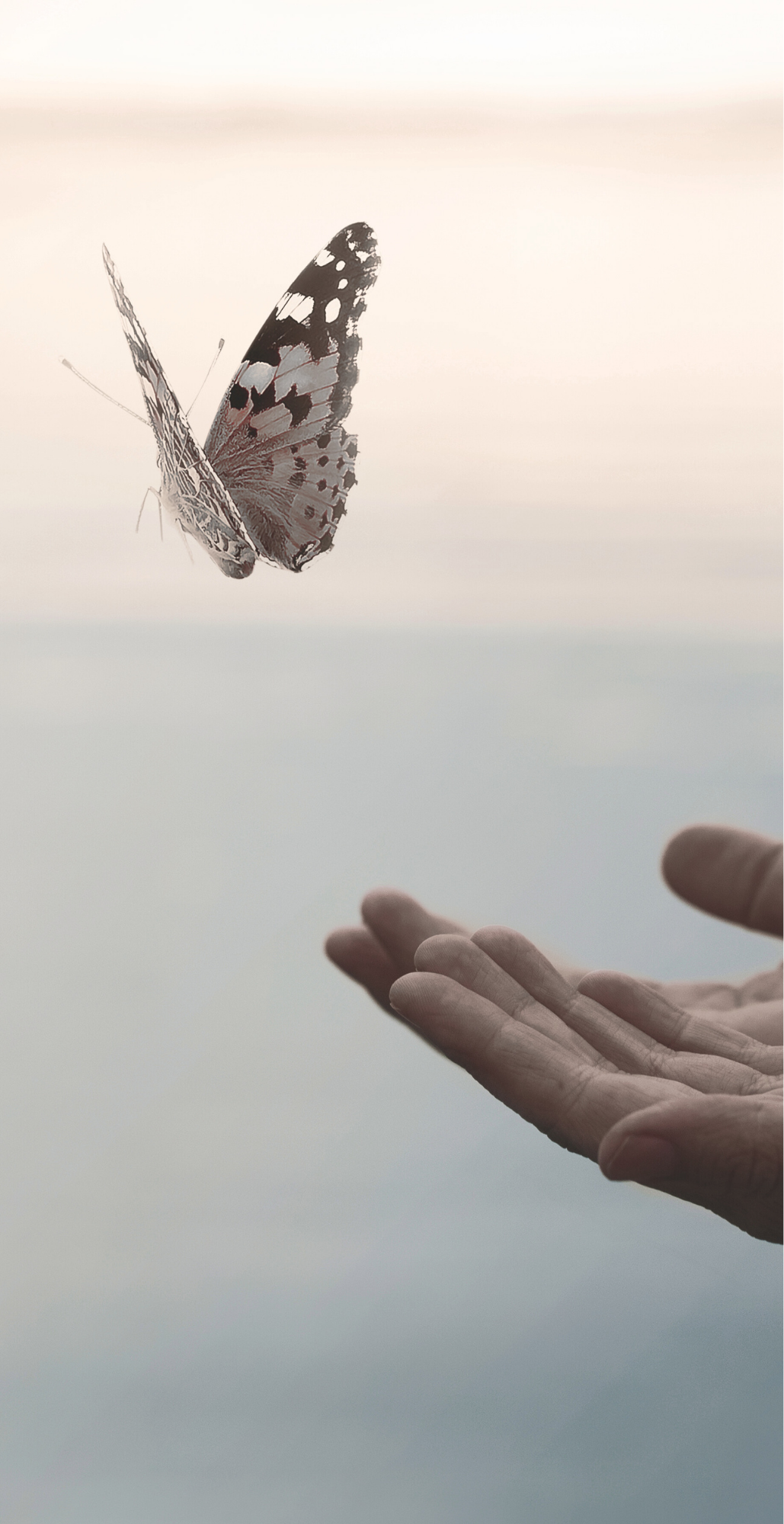Farfalla che vola sopra una mano aperta con sfondo sfocato e luminoso.