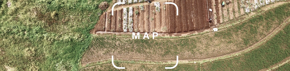 Aerial view of agricultural fields with different crops and pathways between them.